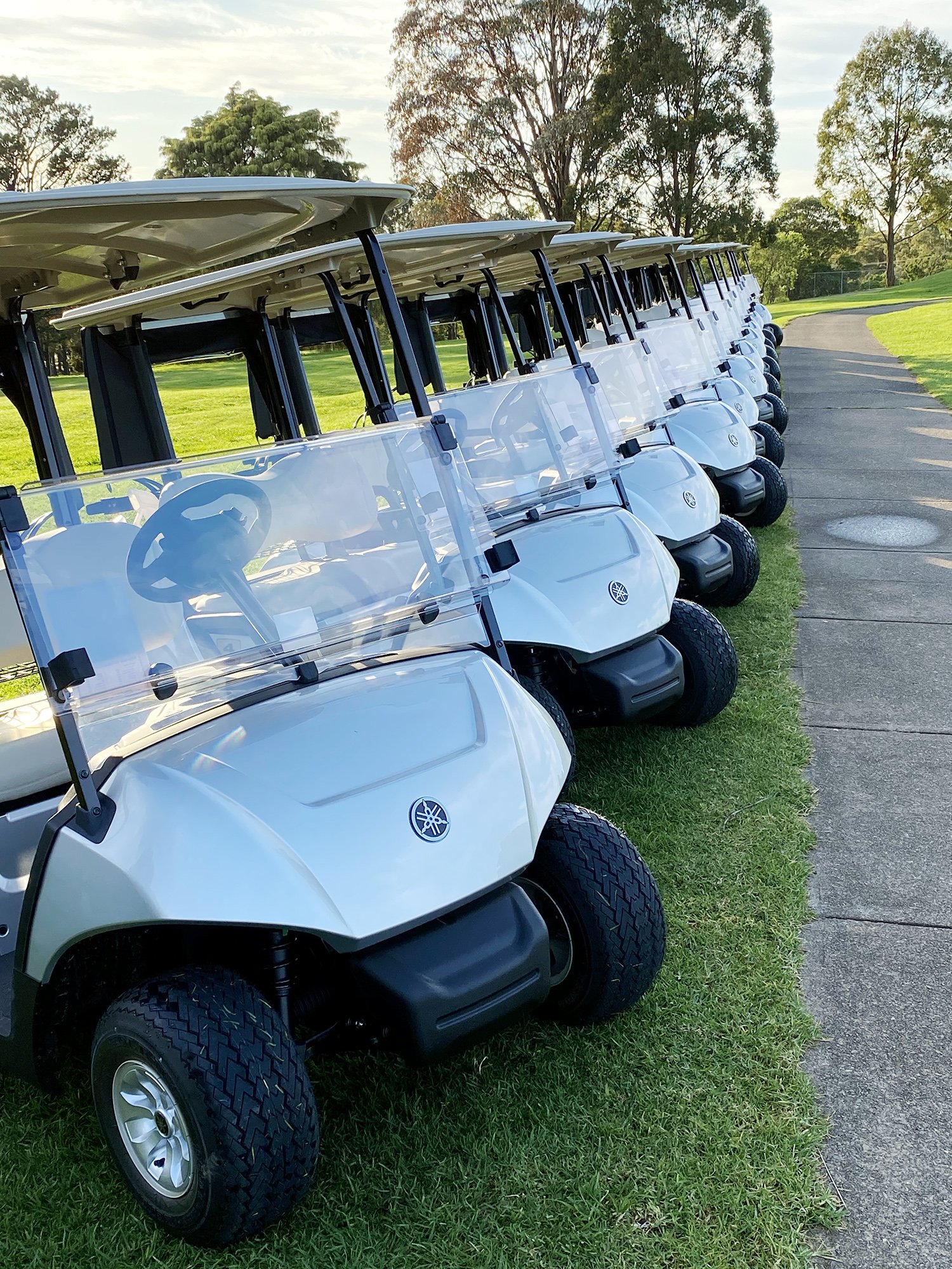 Row of white golf carts parked on grass beside a sidewalk on a golf course with trees and blue sky in background.