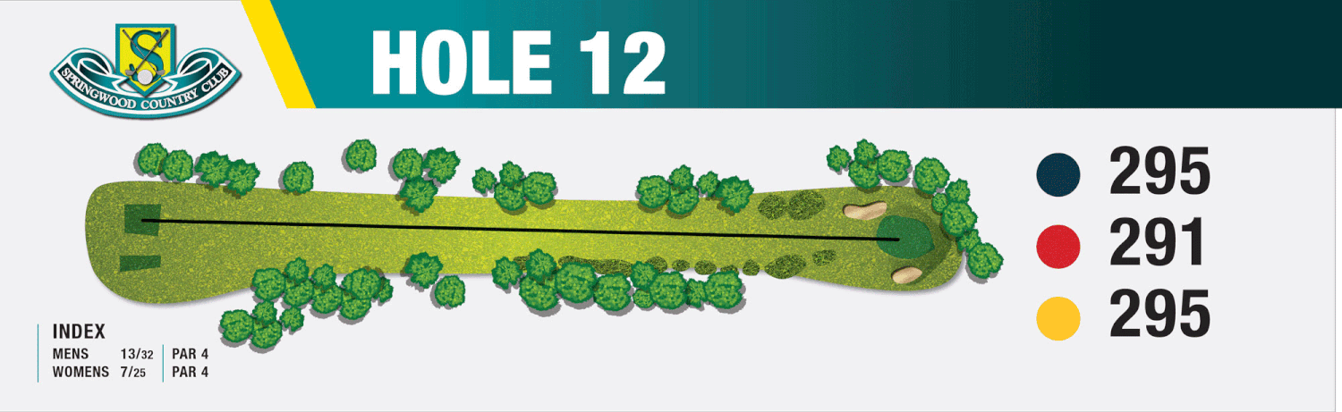 Map of hole 12 at Springwood Country Club, showing the fairway, trees, and sand bunkers with distances of 295, 291, and 295 yards.