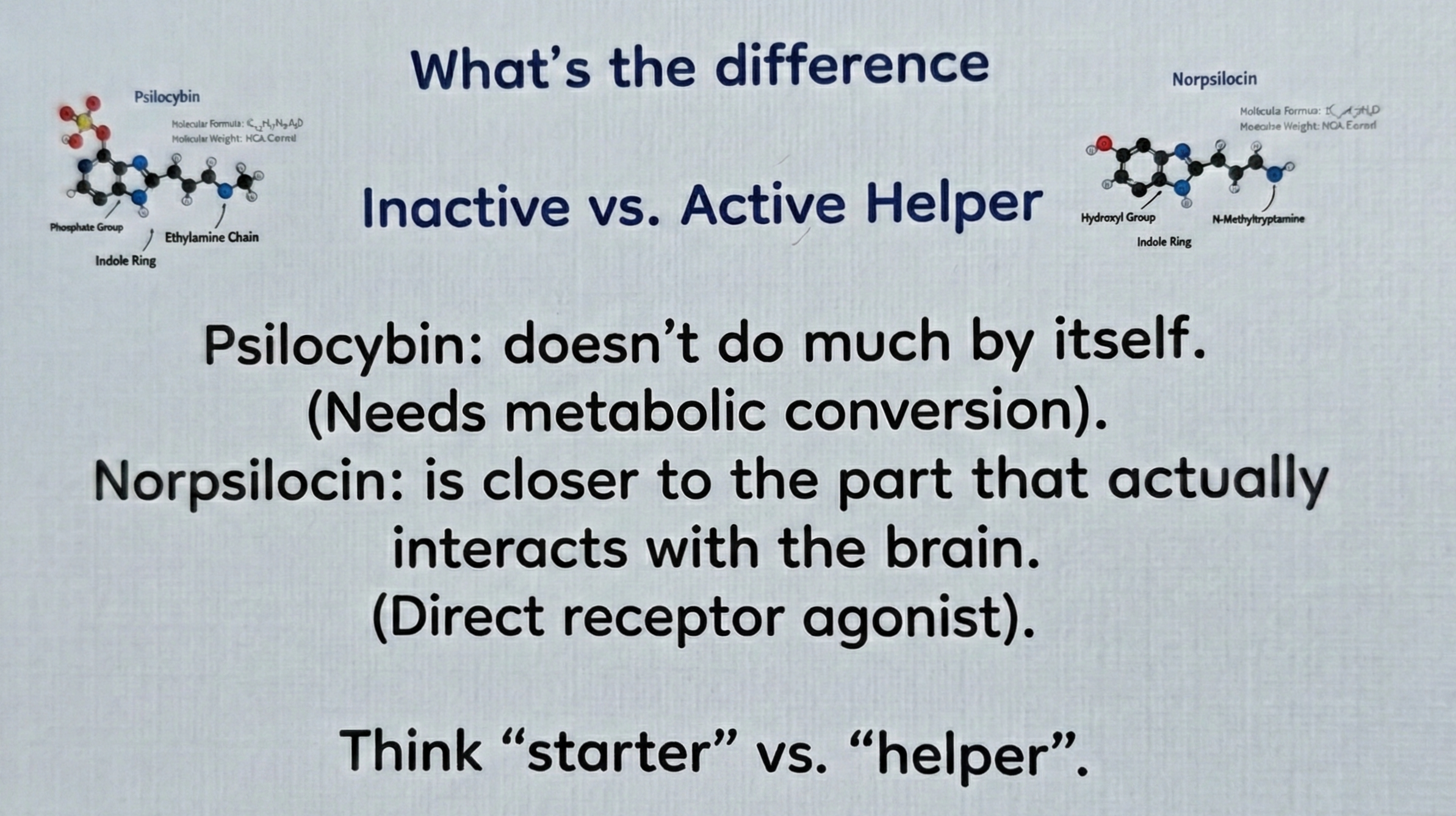 Comparison of inactive and active helper molecules, psilocybin and norpsilocin, with molecular structures shown at the top, followed by explanatory text about their differences and functions, and a note to think of them as starter versus helper.