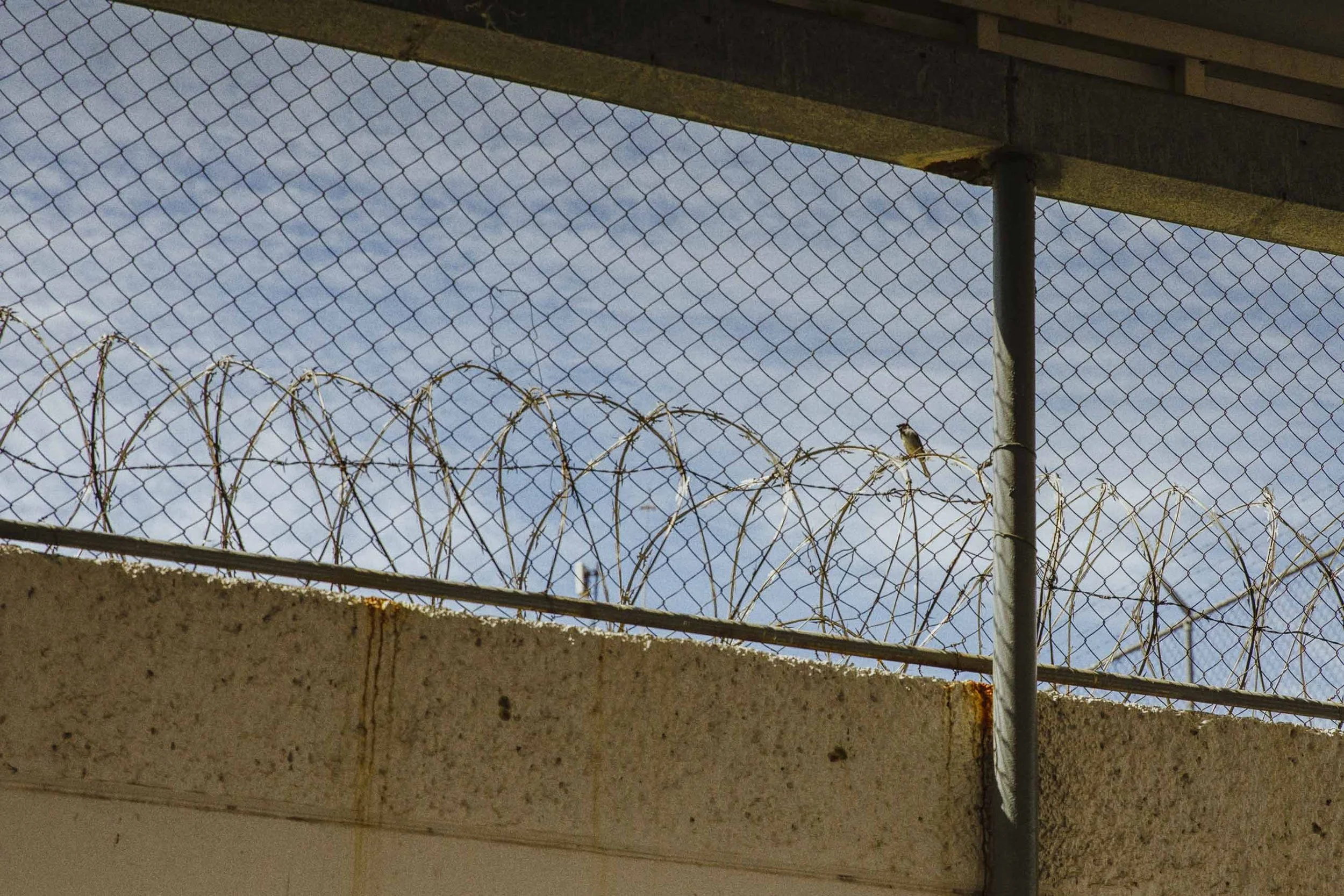 Unlocking freedom_Bri Diez-17.jpg