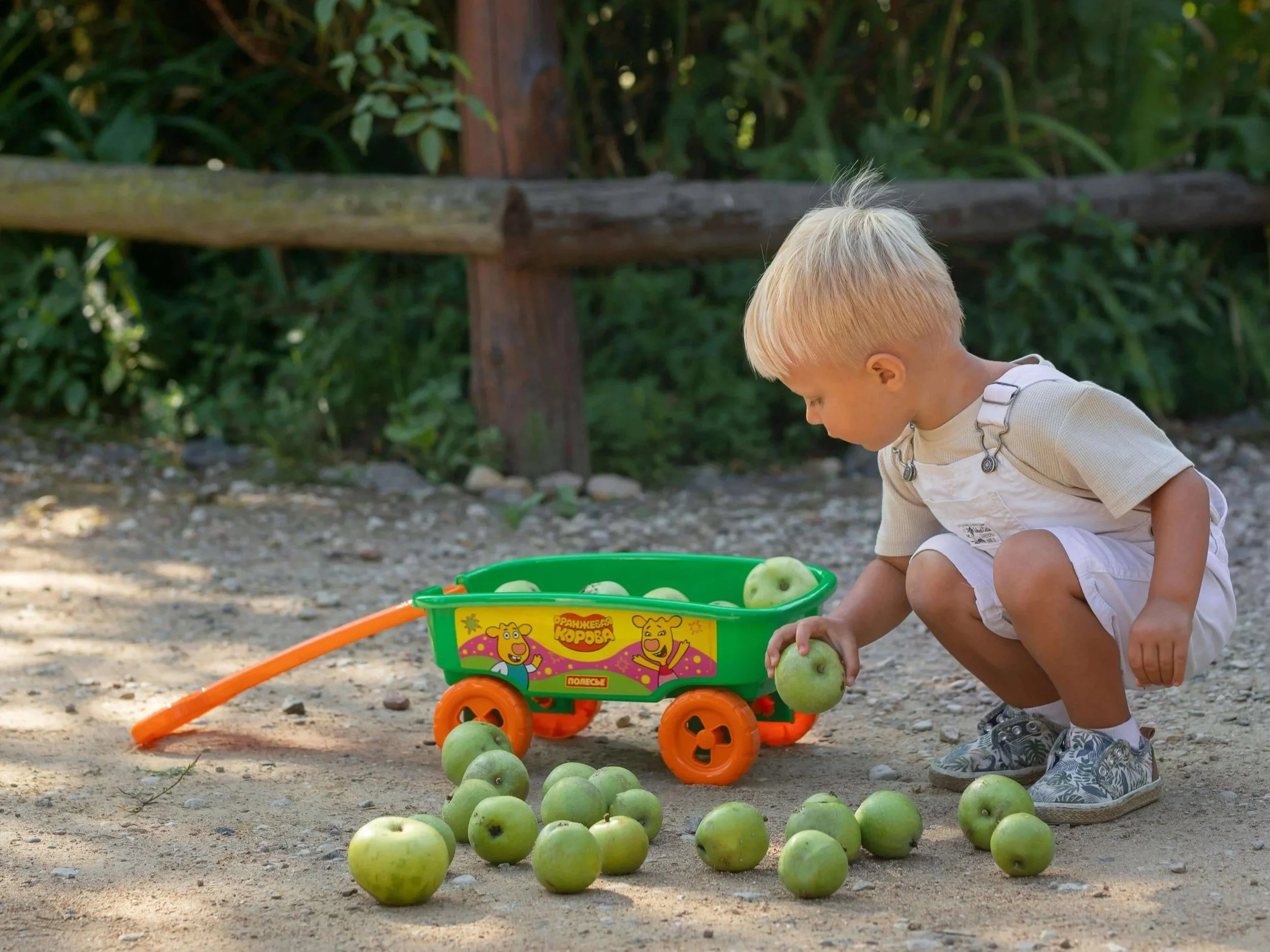 A young boy with blond hair is squatting outdoors, holding a green apple, next to a green toy wagon filled with apples, on a dirt surface with greenery in the background.