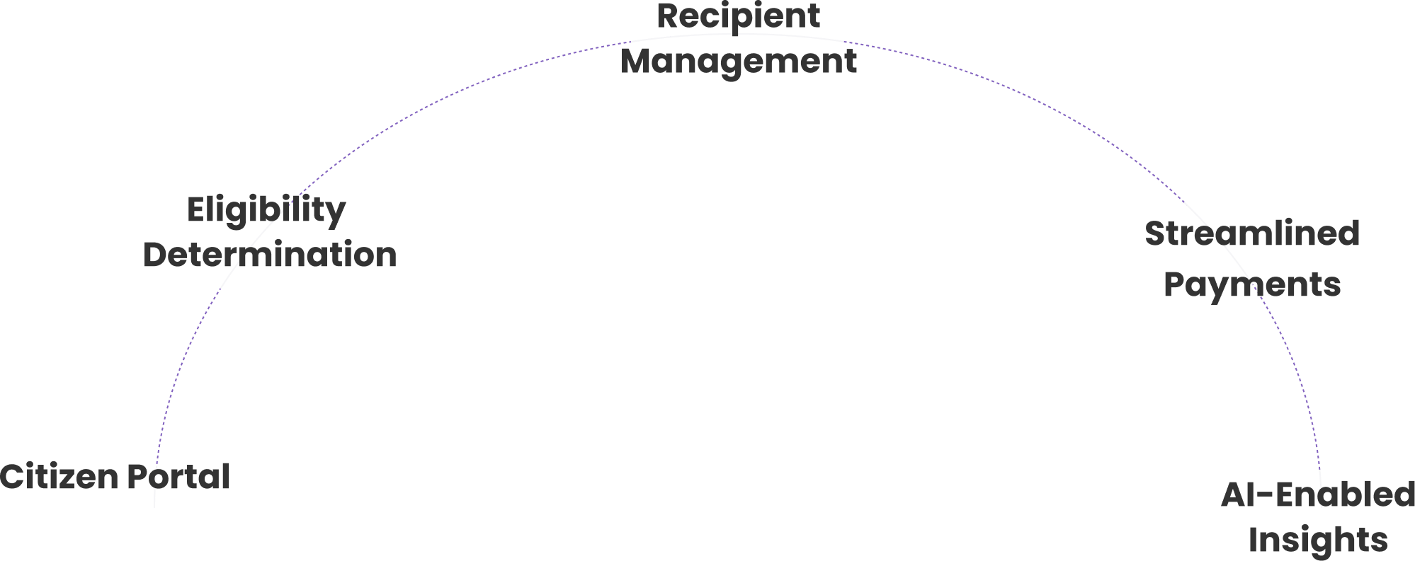 A diagram illustrating the process flow, starting with 'Citizen Portal' and moving through 'Eligibility Determination,' 'Management,' and 'Recipient,' ending with 'Streamlined Payments' and 'AI-Enabled Insights'.