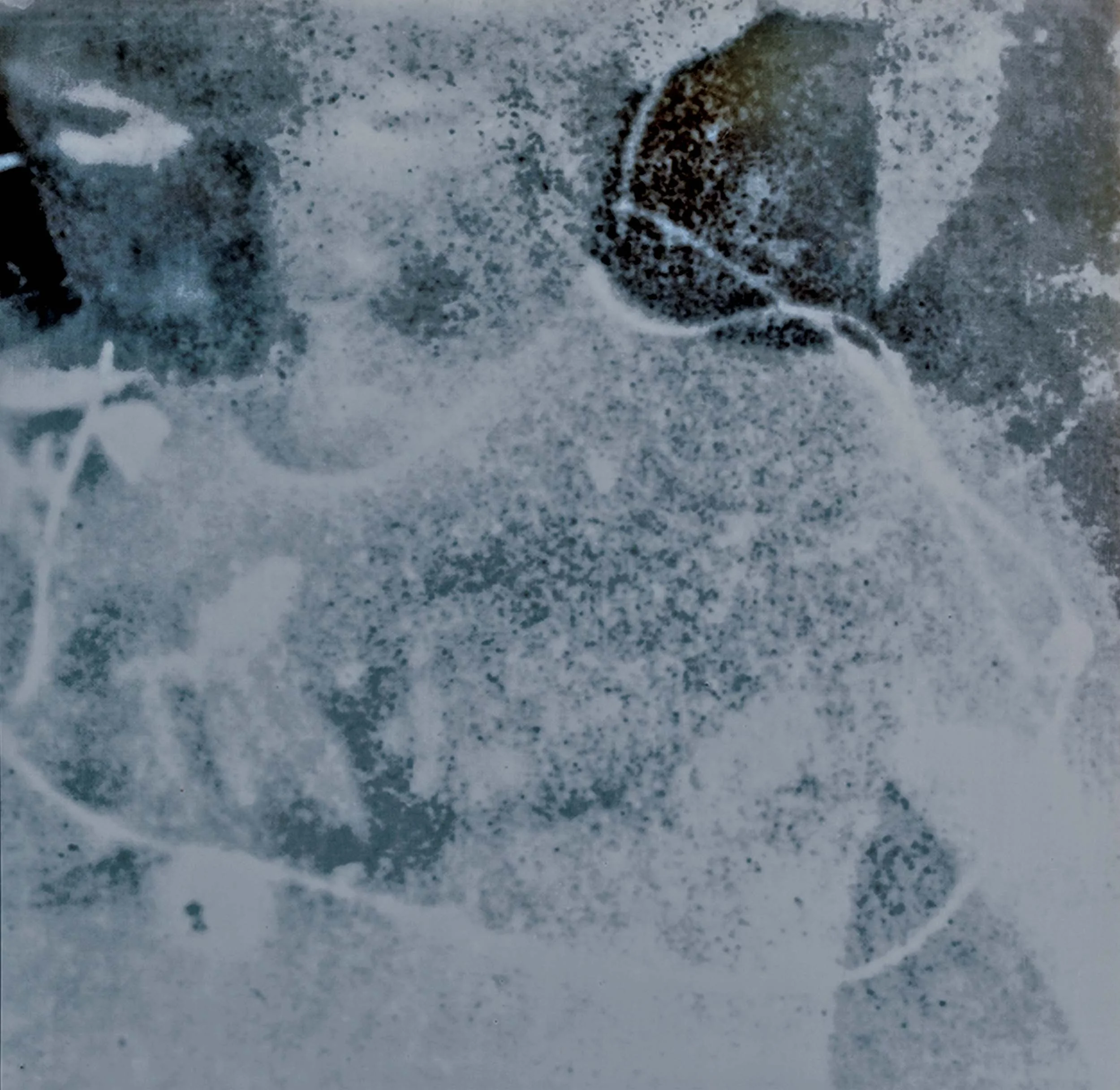 Untitled (Flux) Series V