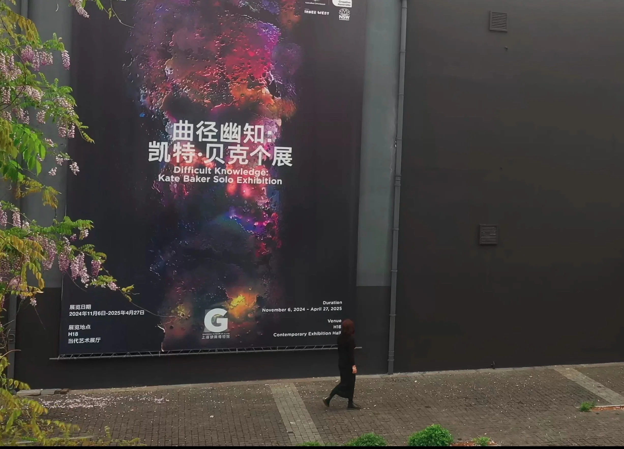 Poster from video.jpg