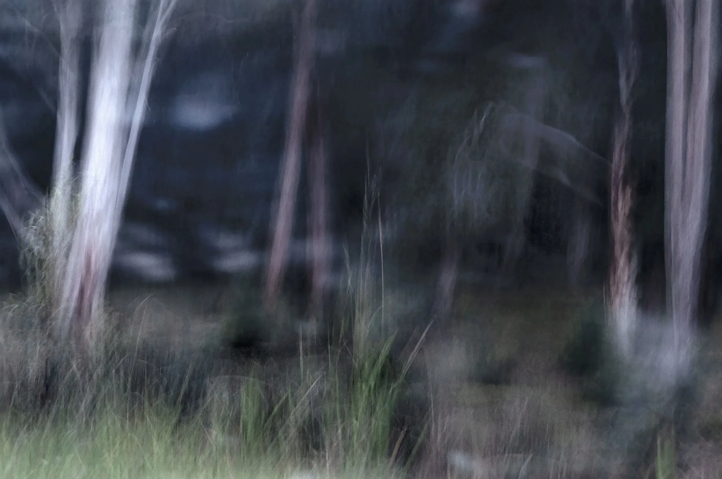 Sublimate #2 (Diptych)