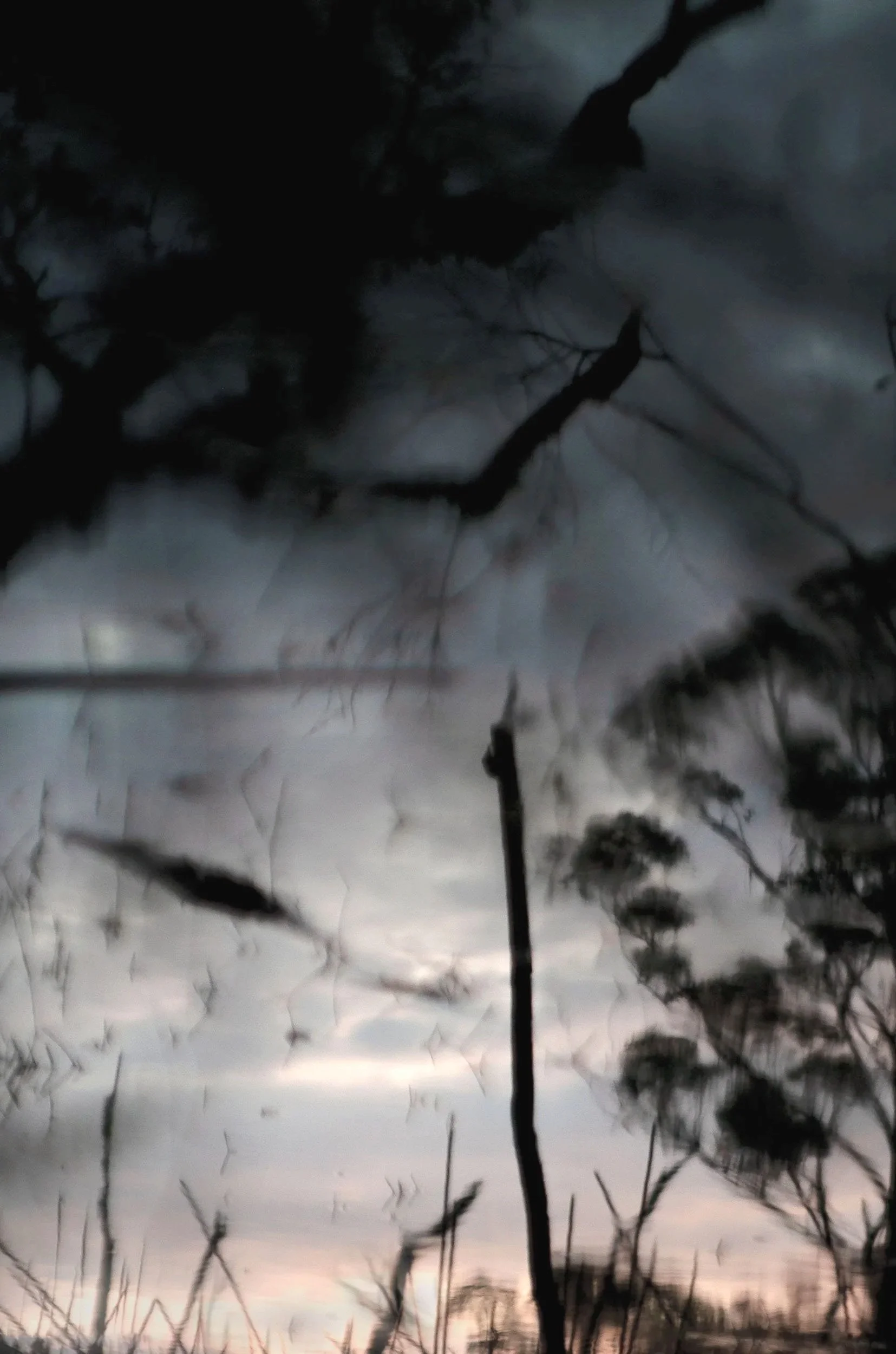 Sublimate #3  (Triptych)