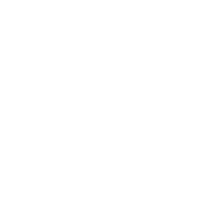 caisbv_logo_white.png
