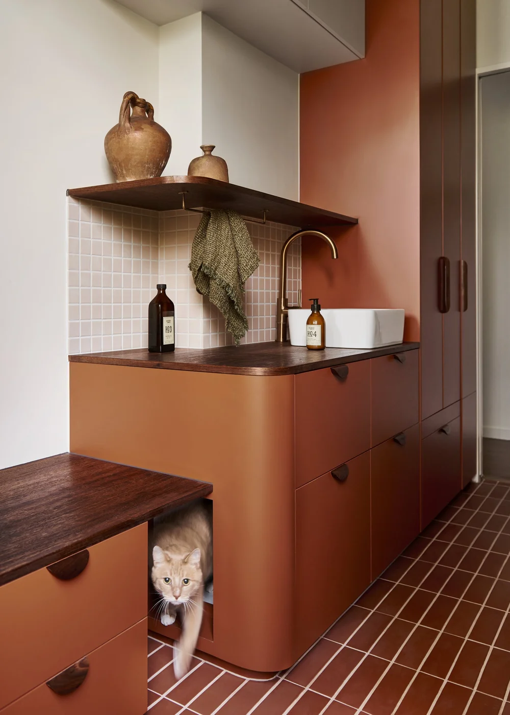 Gordon Grove — laundry with cat, Preston