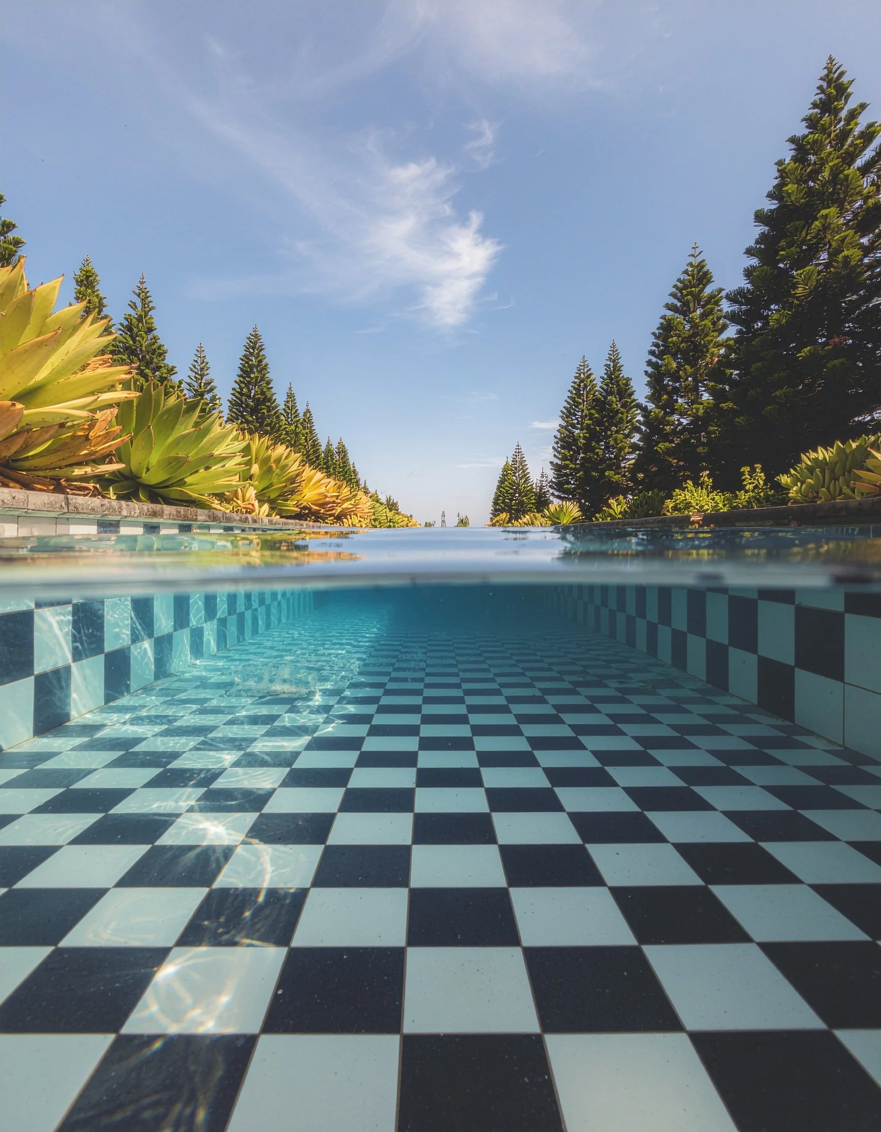 Day 8 Saying no so I can say yes