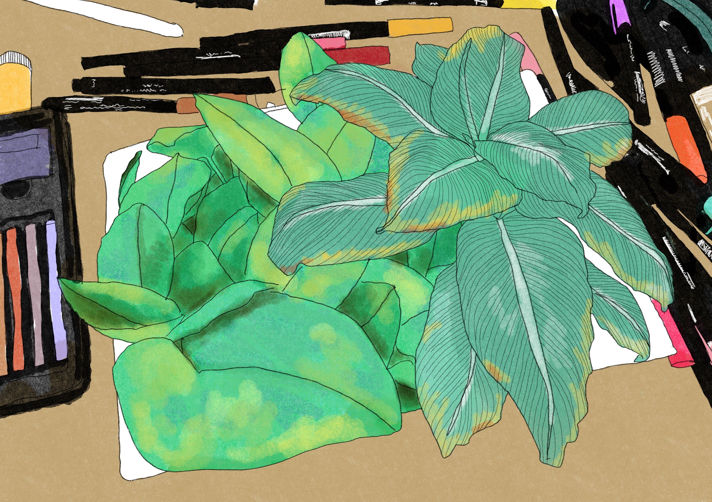 The obsessions of a neurodivergent fangirl. 