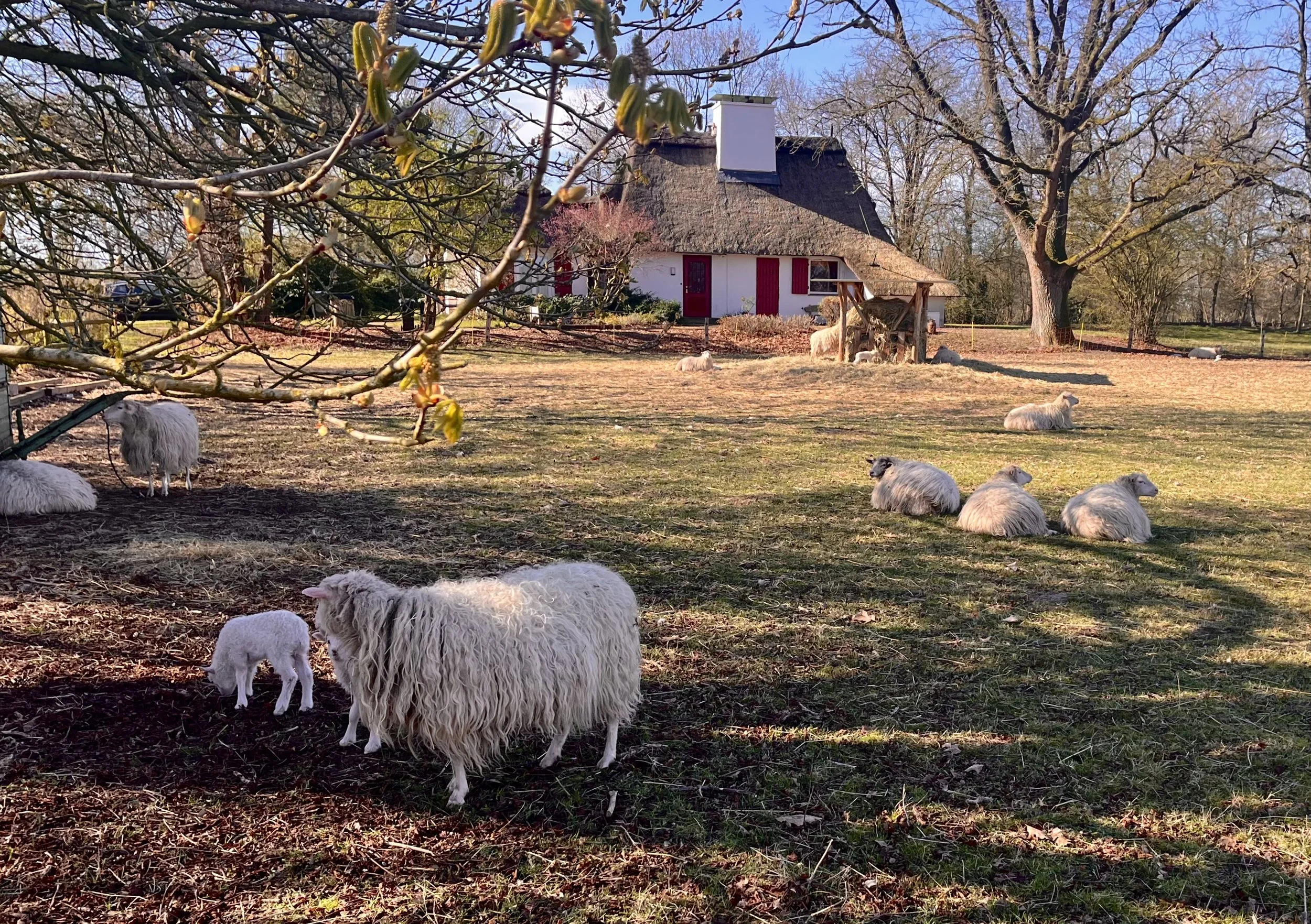 Day 23: Am I Turning Local?