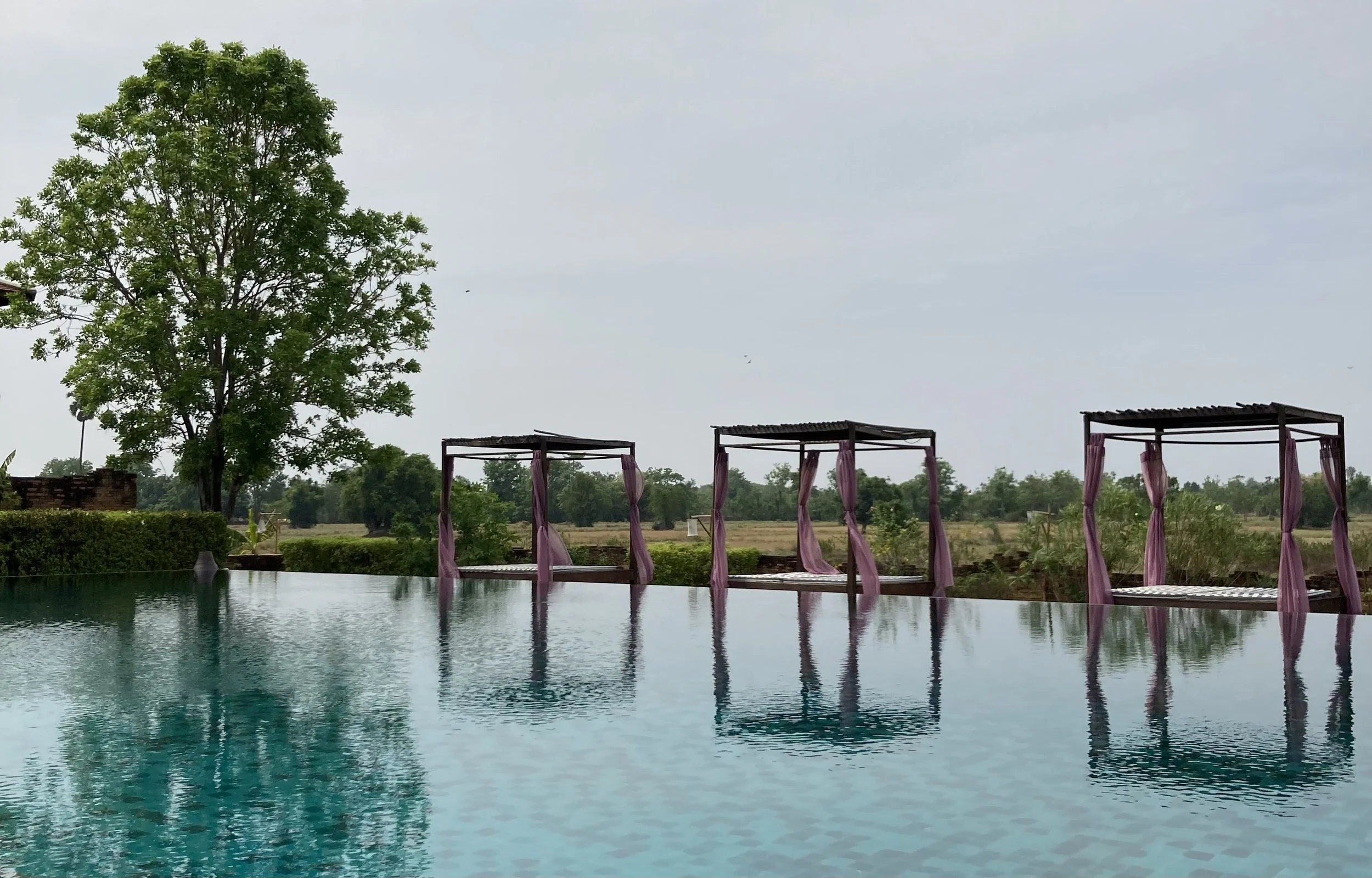 Day 26 — Goals and Dreams