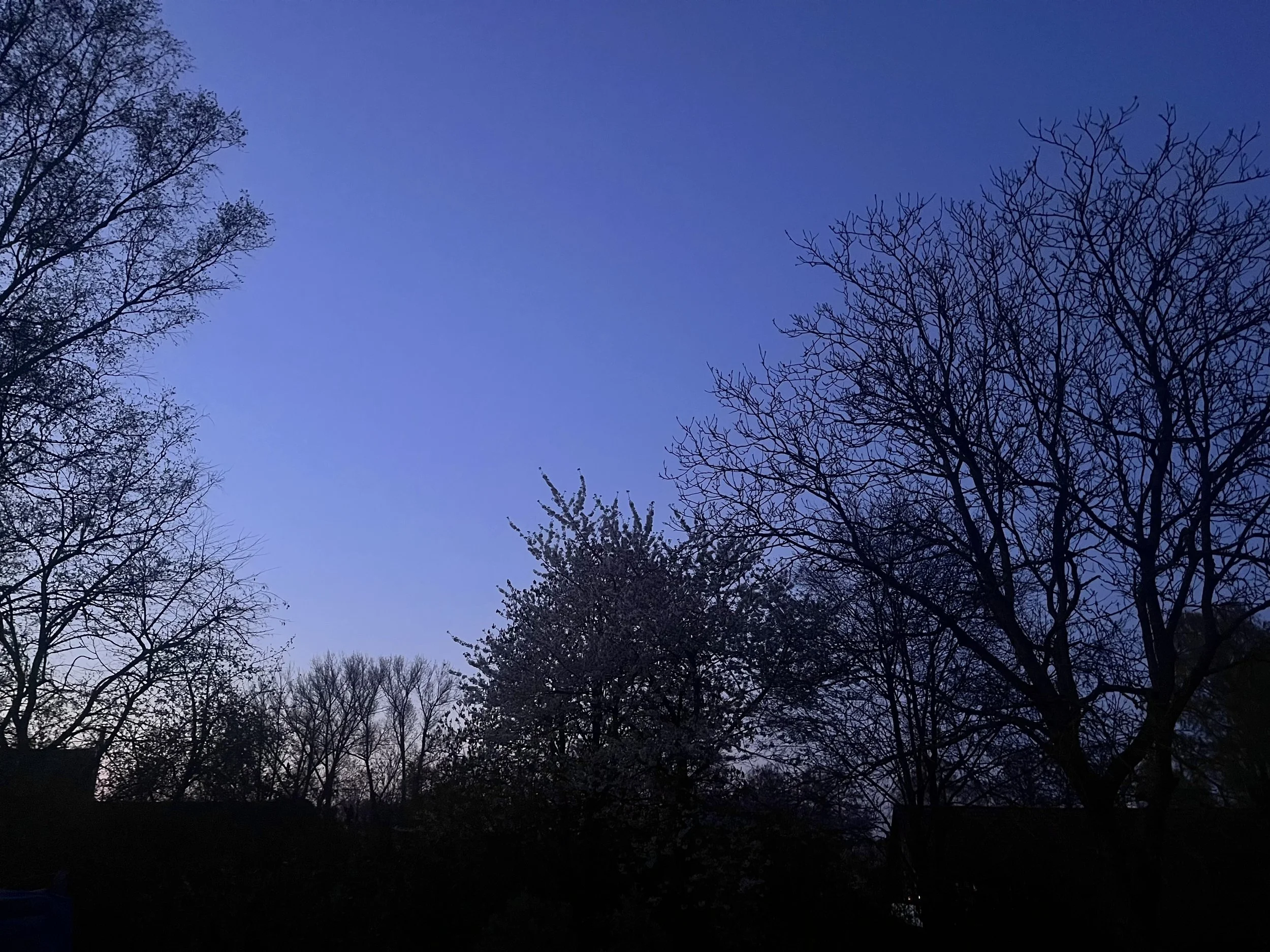 Day 28 — Mind the Gap