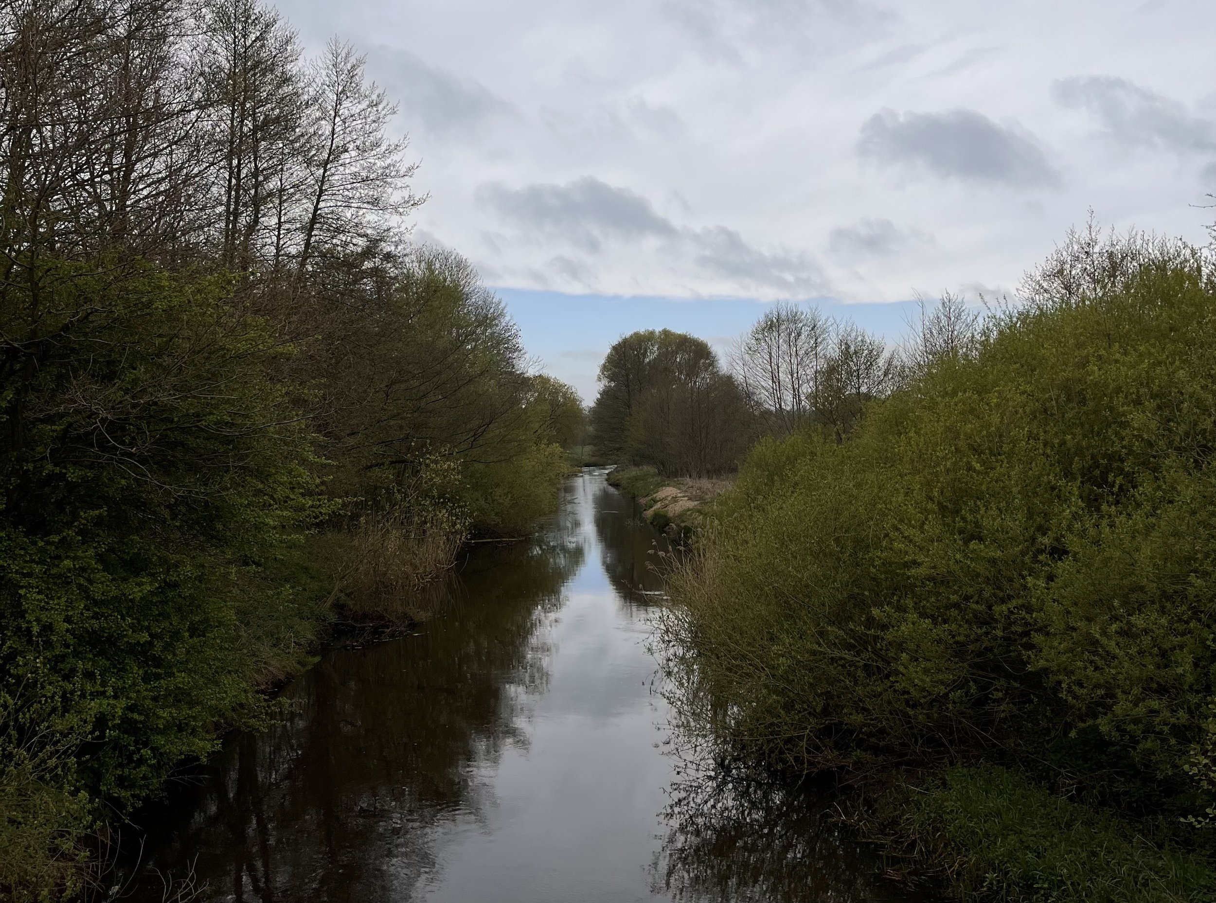 Day 31 — Language Matters