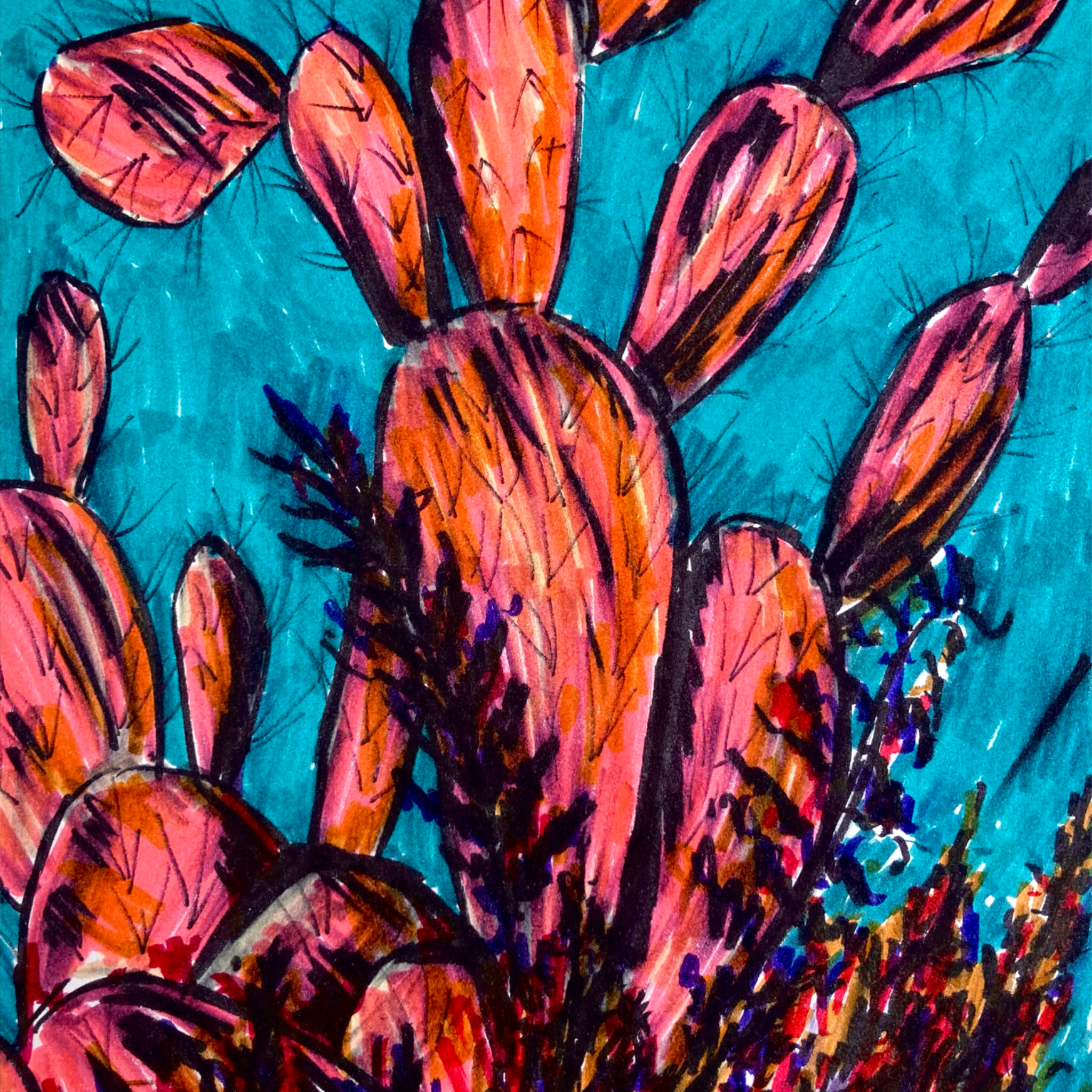 A colourful and bright sketch of a cactus using ink and markers