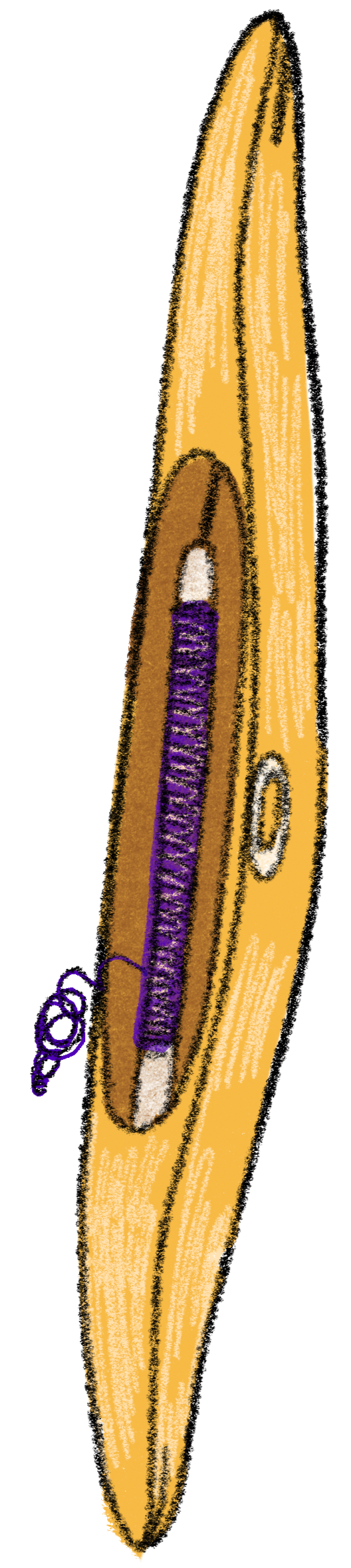 Hand-drawn illustration of a weaving shuttle with a spool of yarn