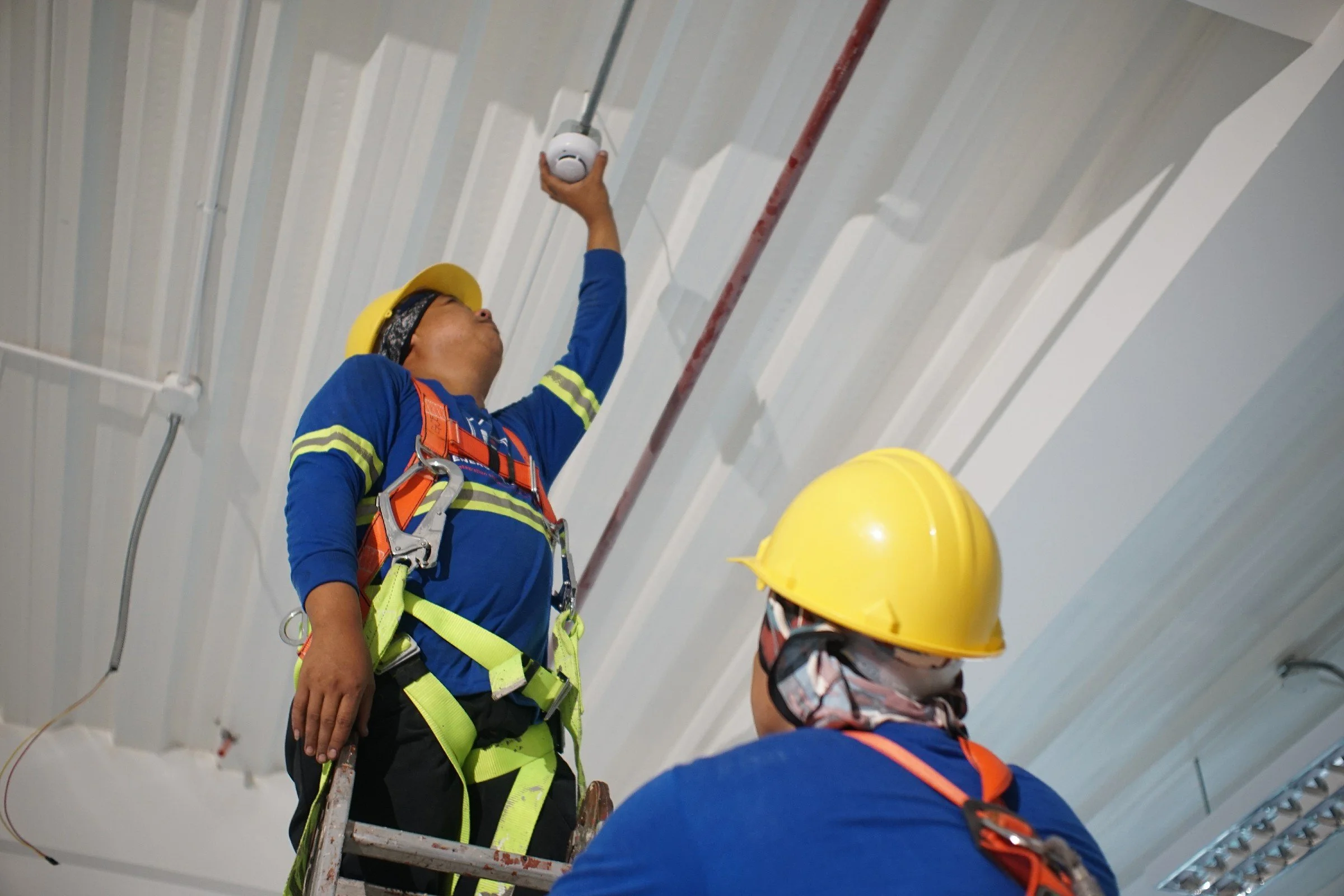 DSC08004.jpg