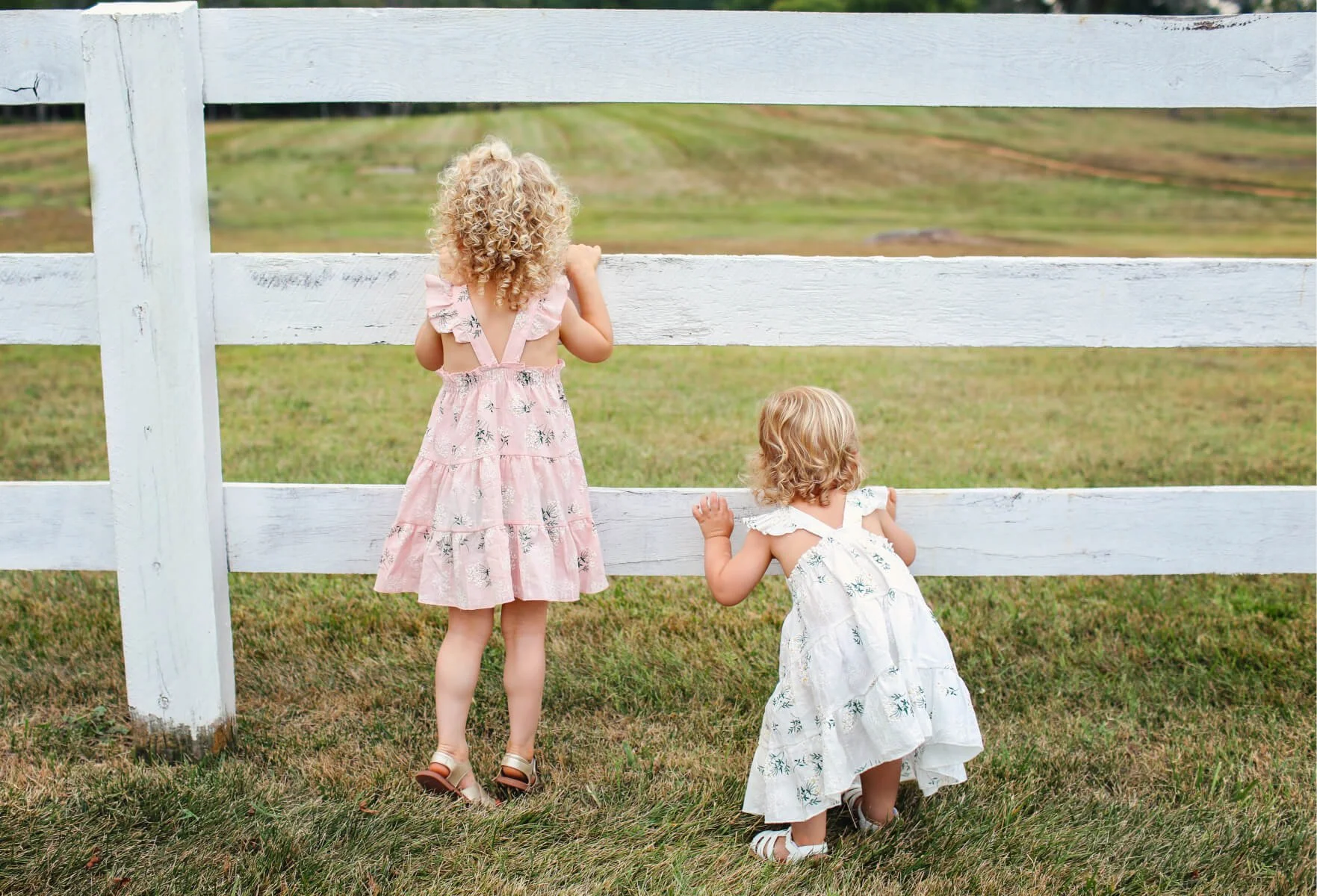 Two young girls with curly blonde hair standing next to a white wooden fence, looking out at a grassy field.
