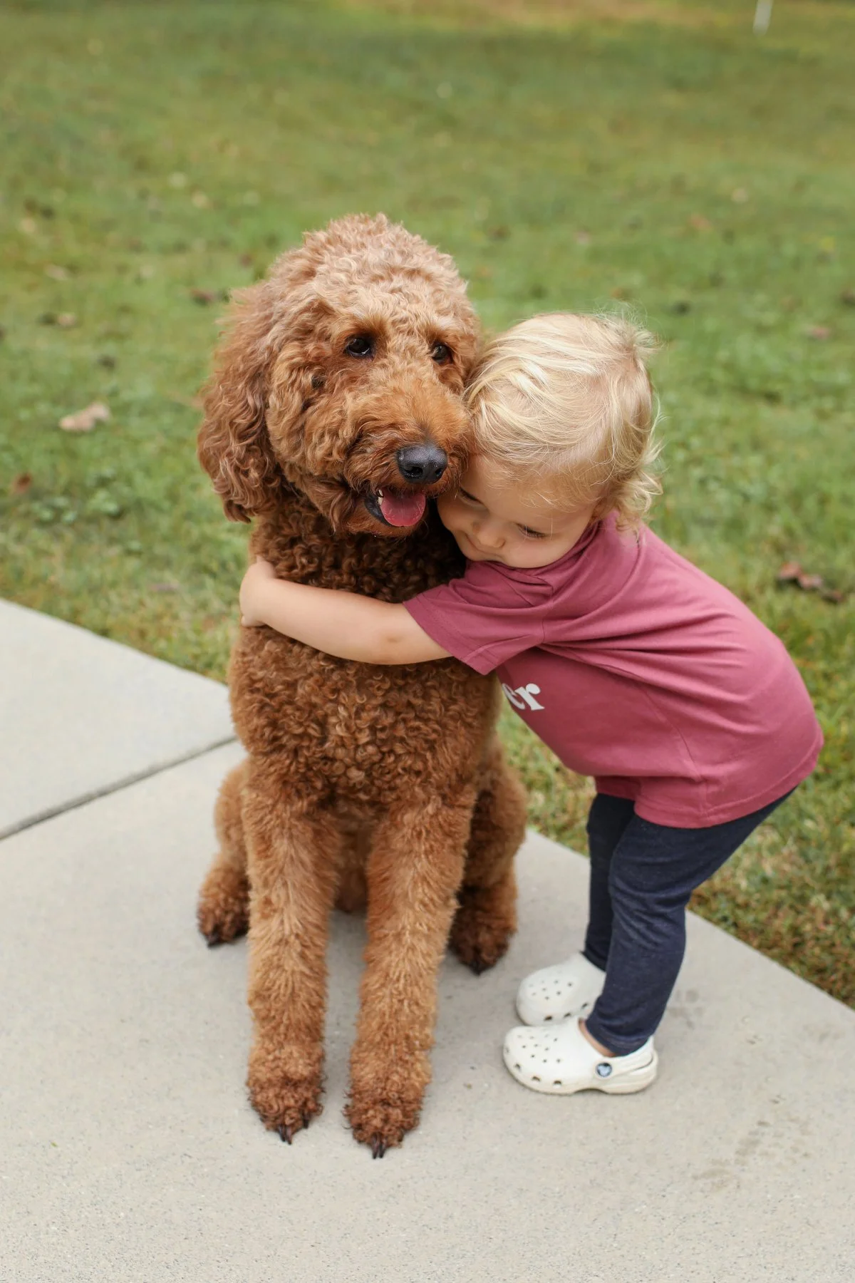 A young child hugging a large, curly-haired brown dog.