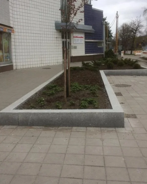 Kuva kadun pientareesta, jossa on istutuskermo, pieni puu ja pensaita, kiinteän betonilaatan ympäröimänä, lähistöllä rakennus ja kävelytie.