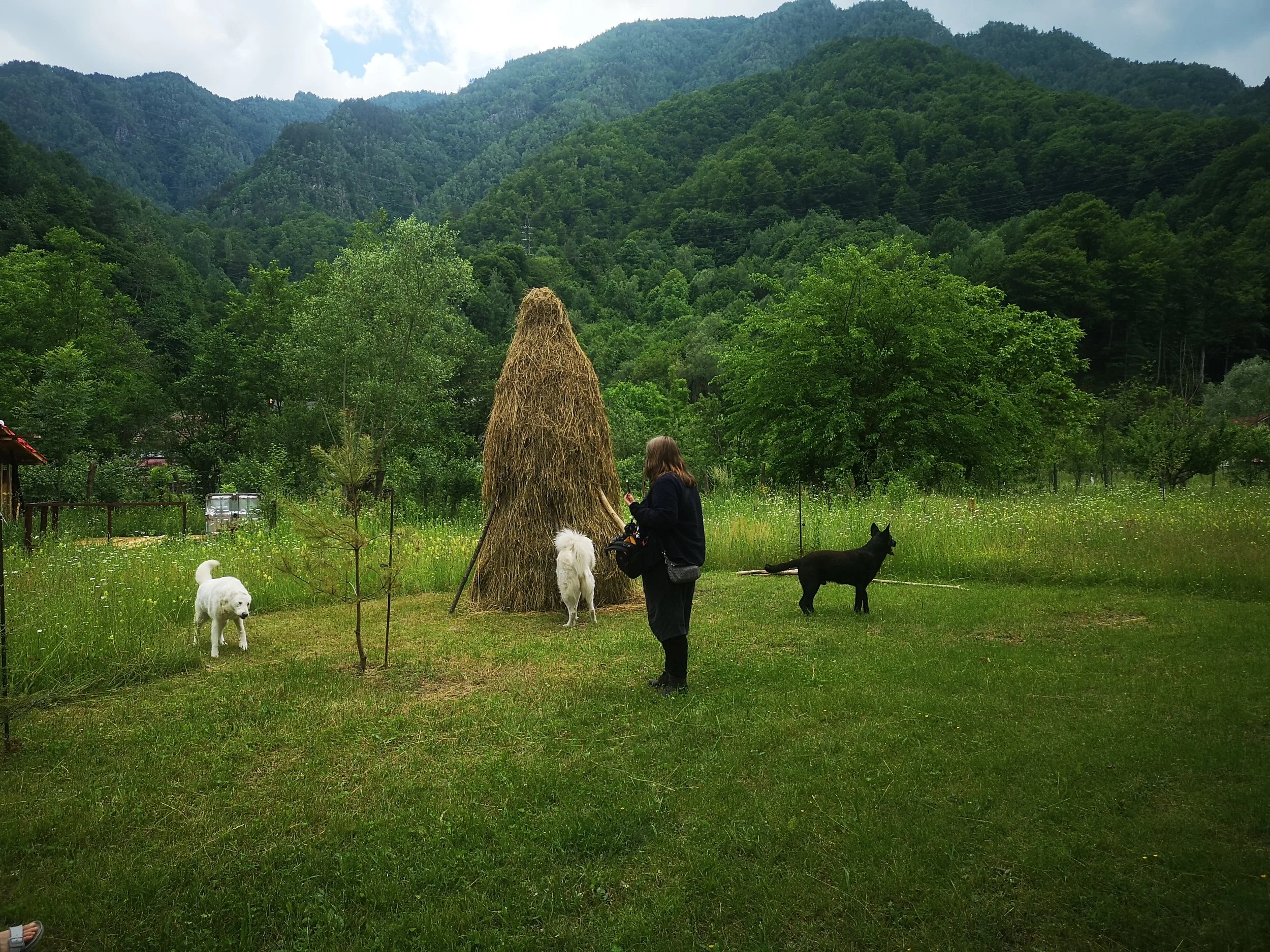 Arts Conversations in Brezoi: MyVillages at TERRRA