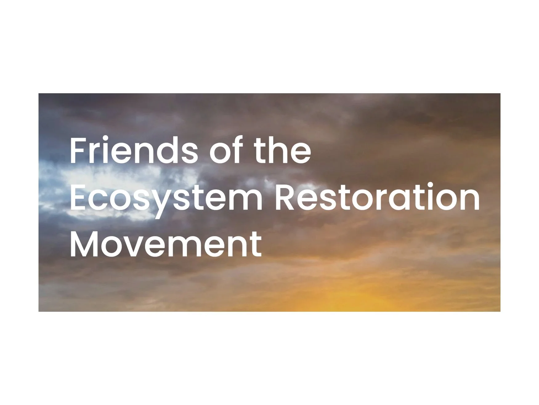 FriendsEcosystemRestorationMovement.jpg