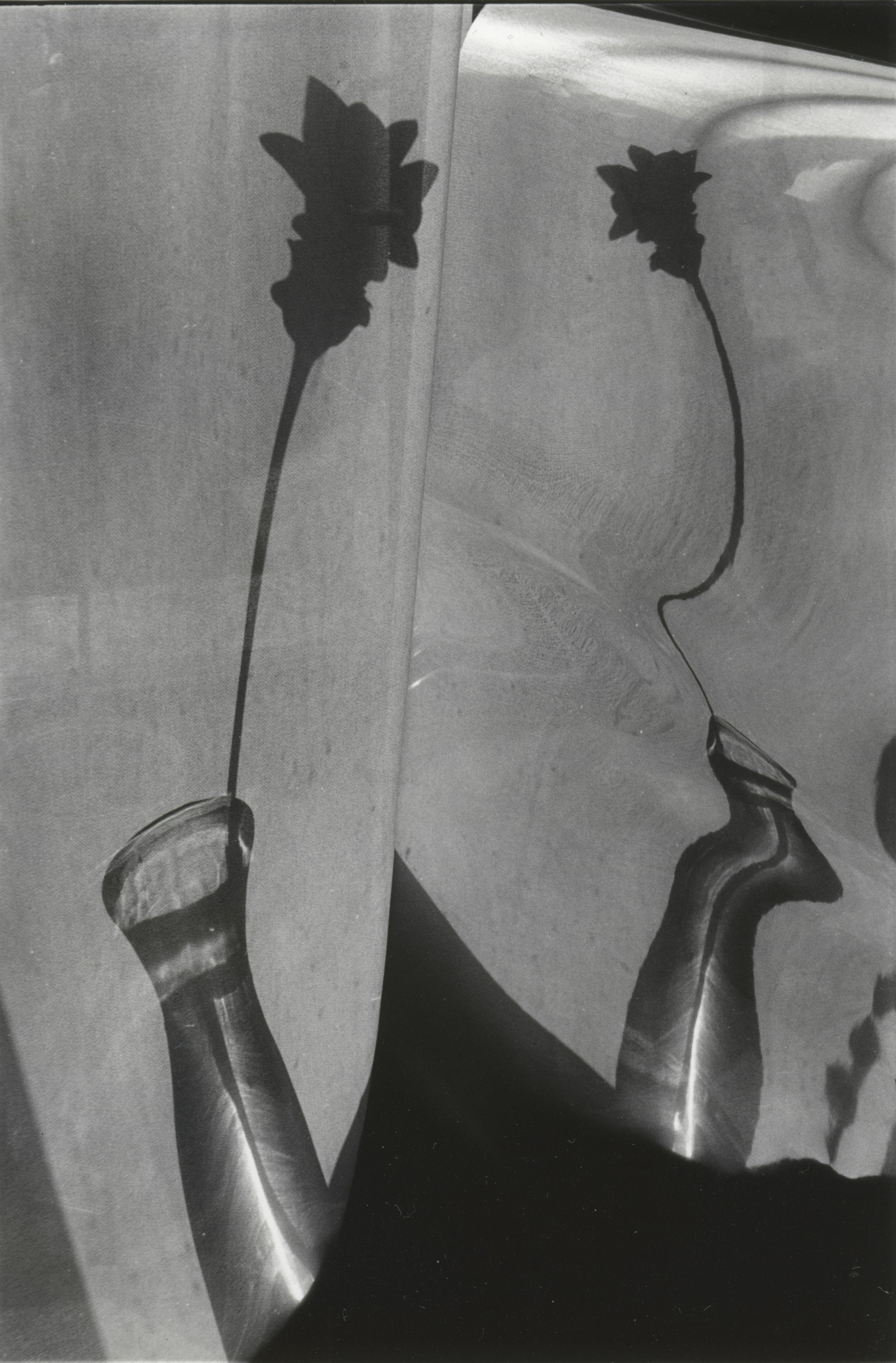 flower reflection copy.jpg