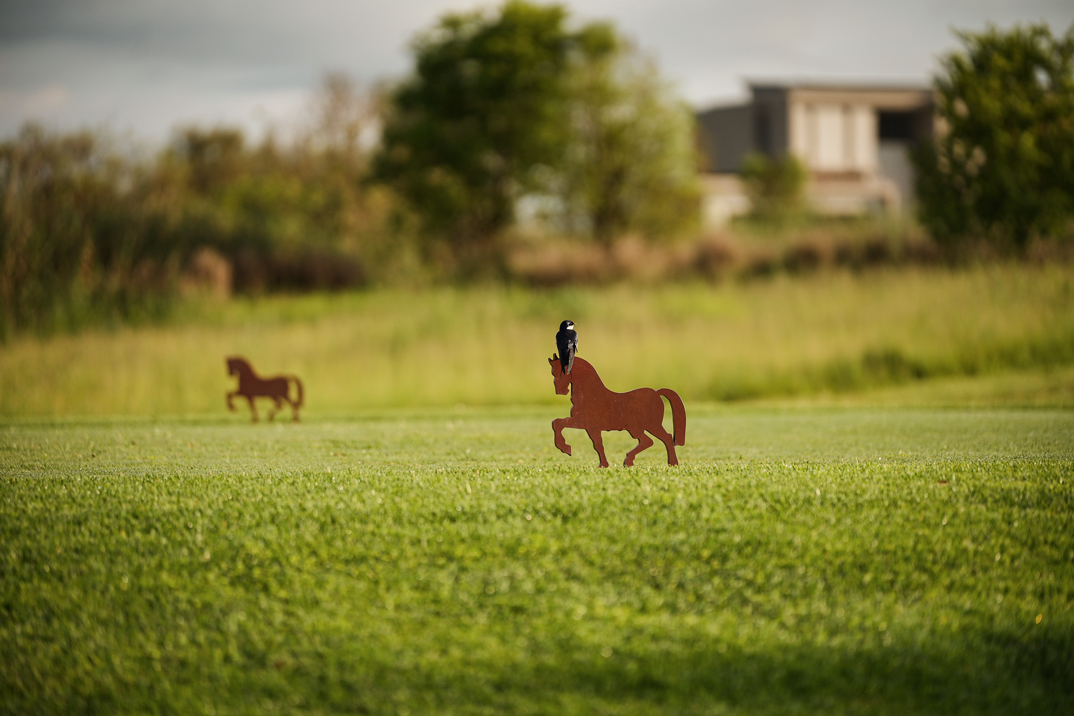 Blair-atholl-golf-estate-brand-photography-3.png