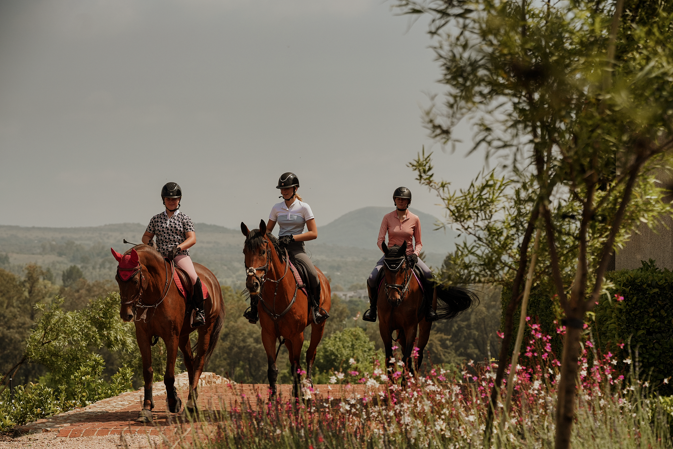 Blair-Atholl-Equestrian-18.png