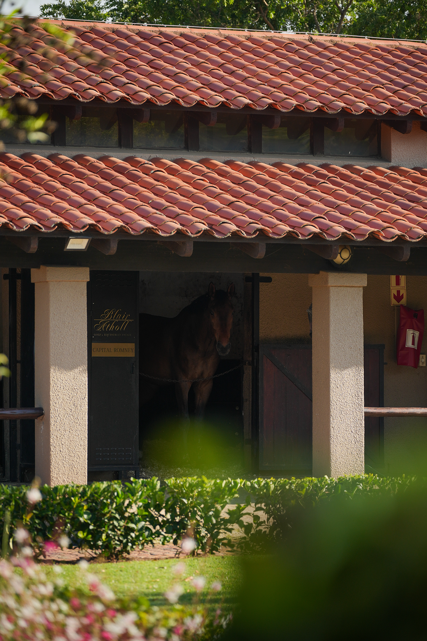Blair-Atholl-Equestrian-10.png