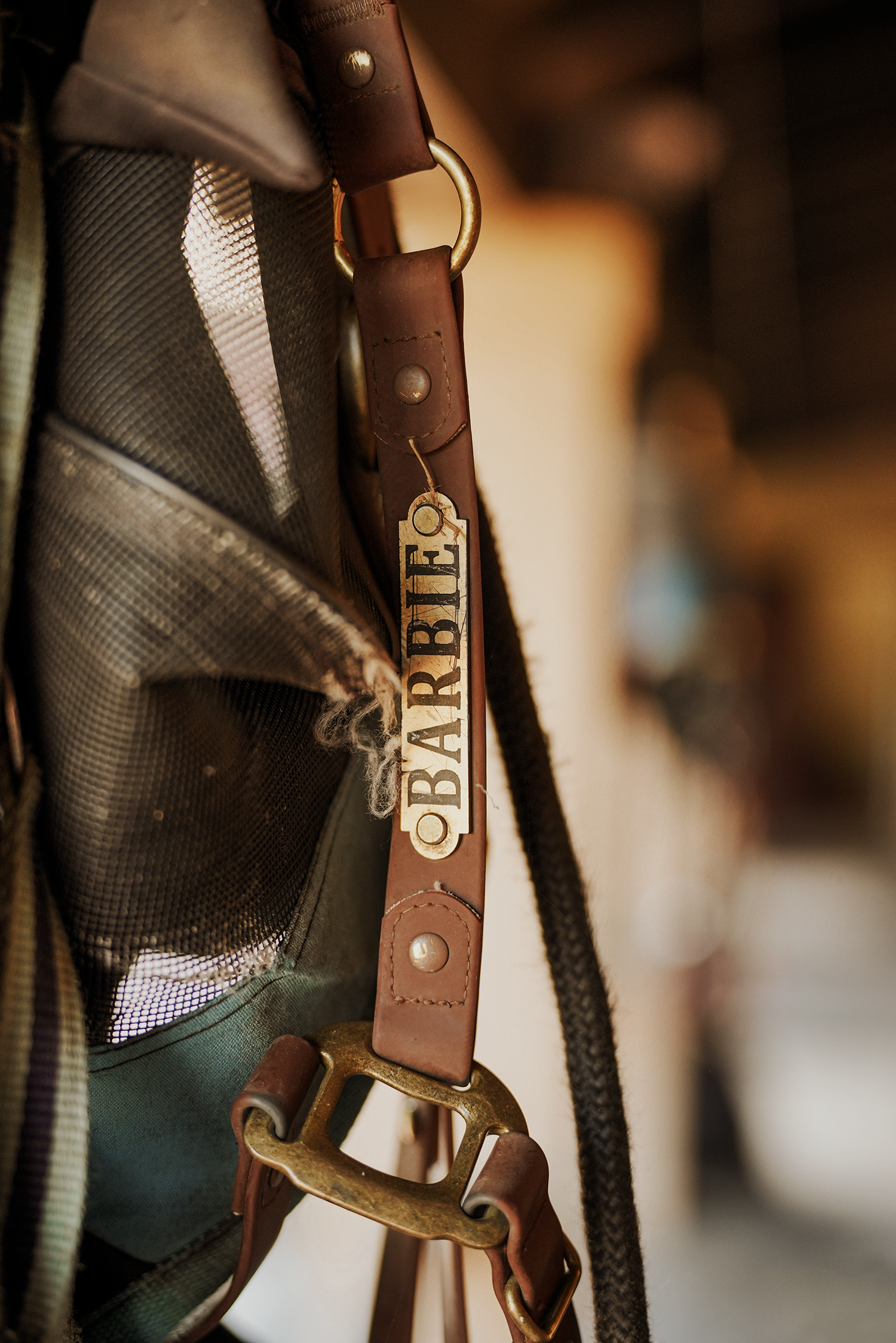 Blair-Atholl-Equestrian-8.png