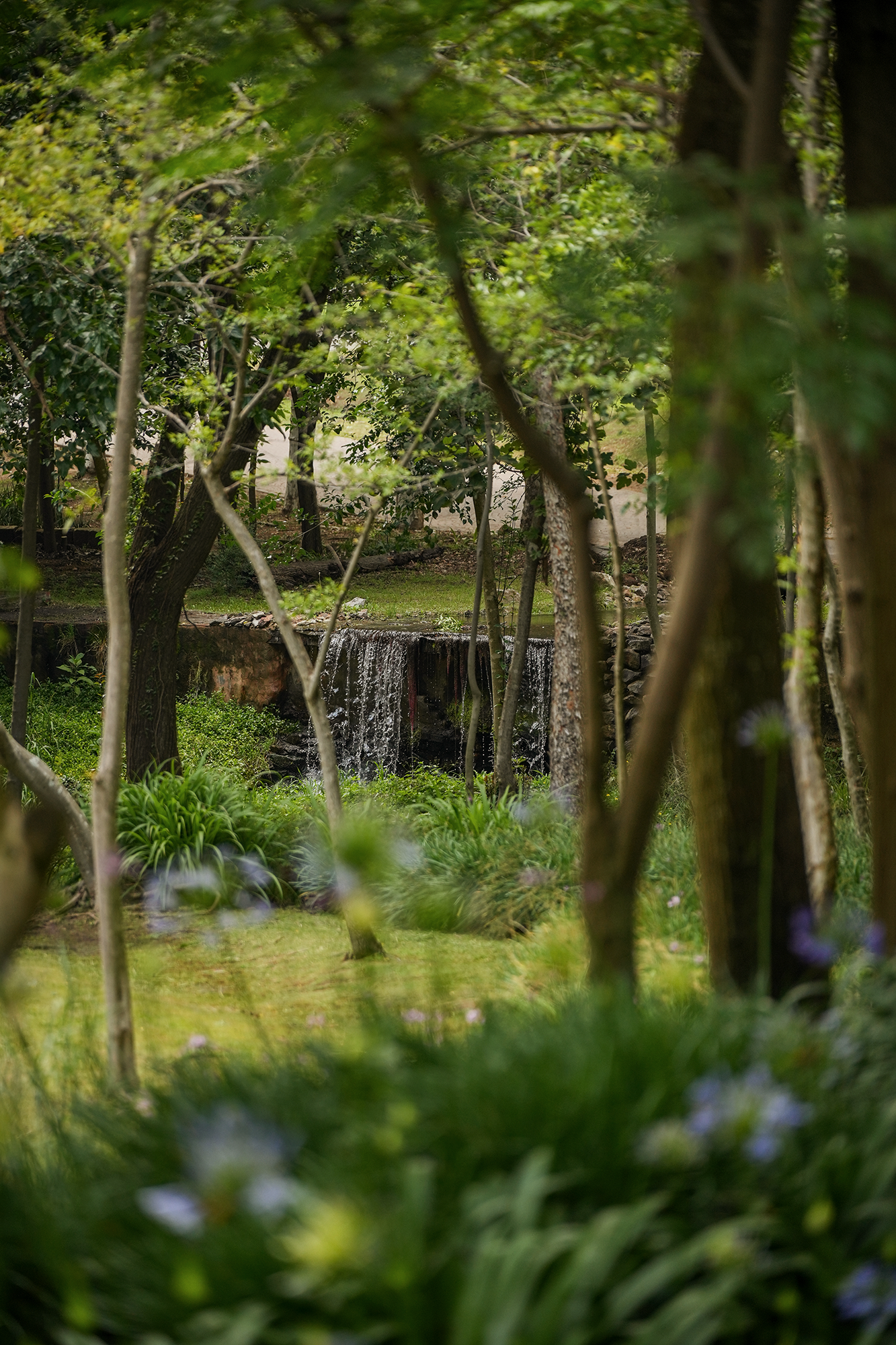 Blair-Atholl-Luxury-Estate-Gardens-2.png
