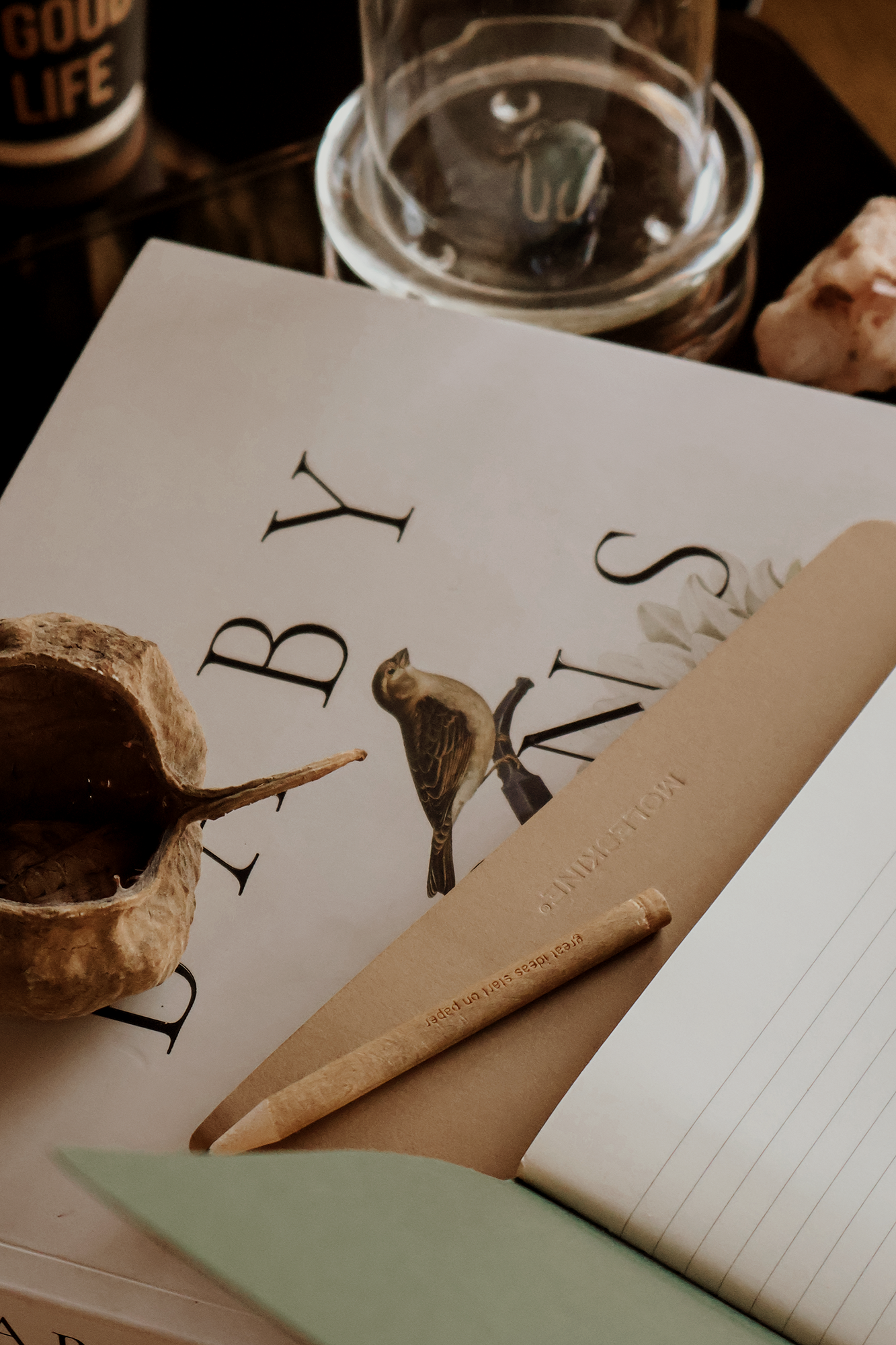 Close-up of a glass with water, a notebook with bird illustrations, a dried bone, and a rolled paper with embossed text, on a dark surface.
