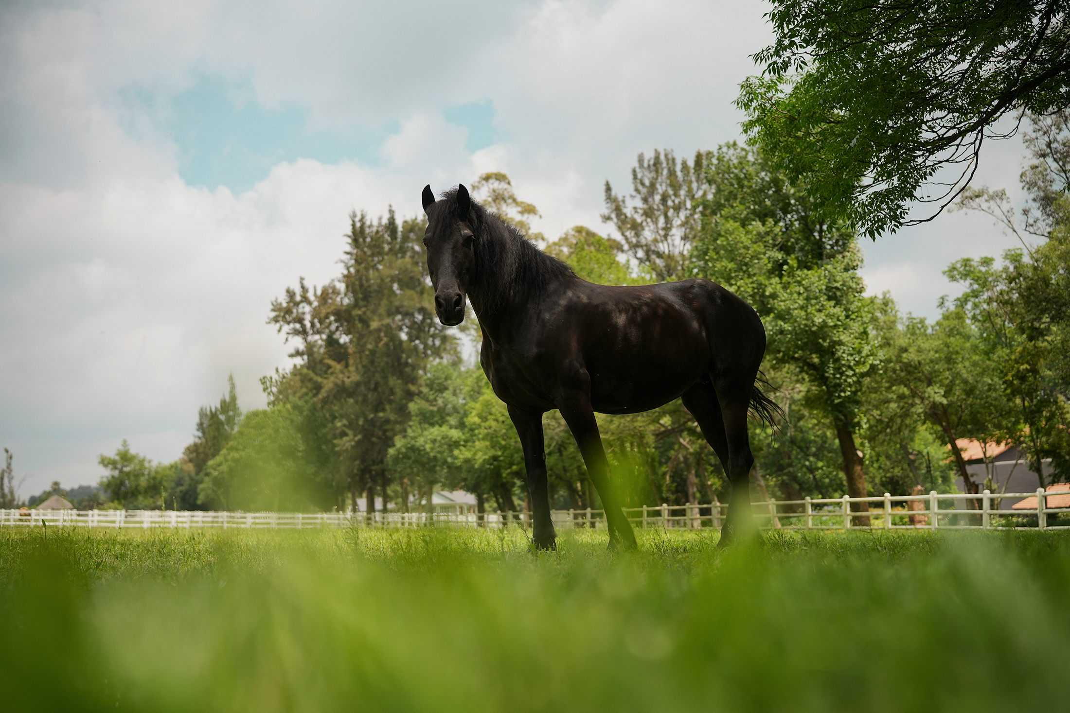 Blair-Atholl-Equestrian-19.png
