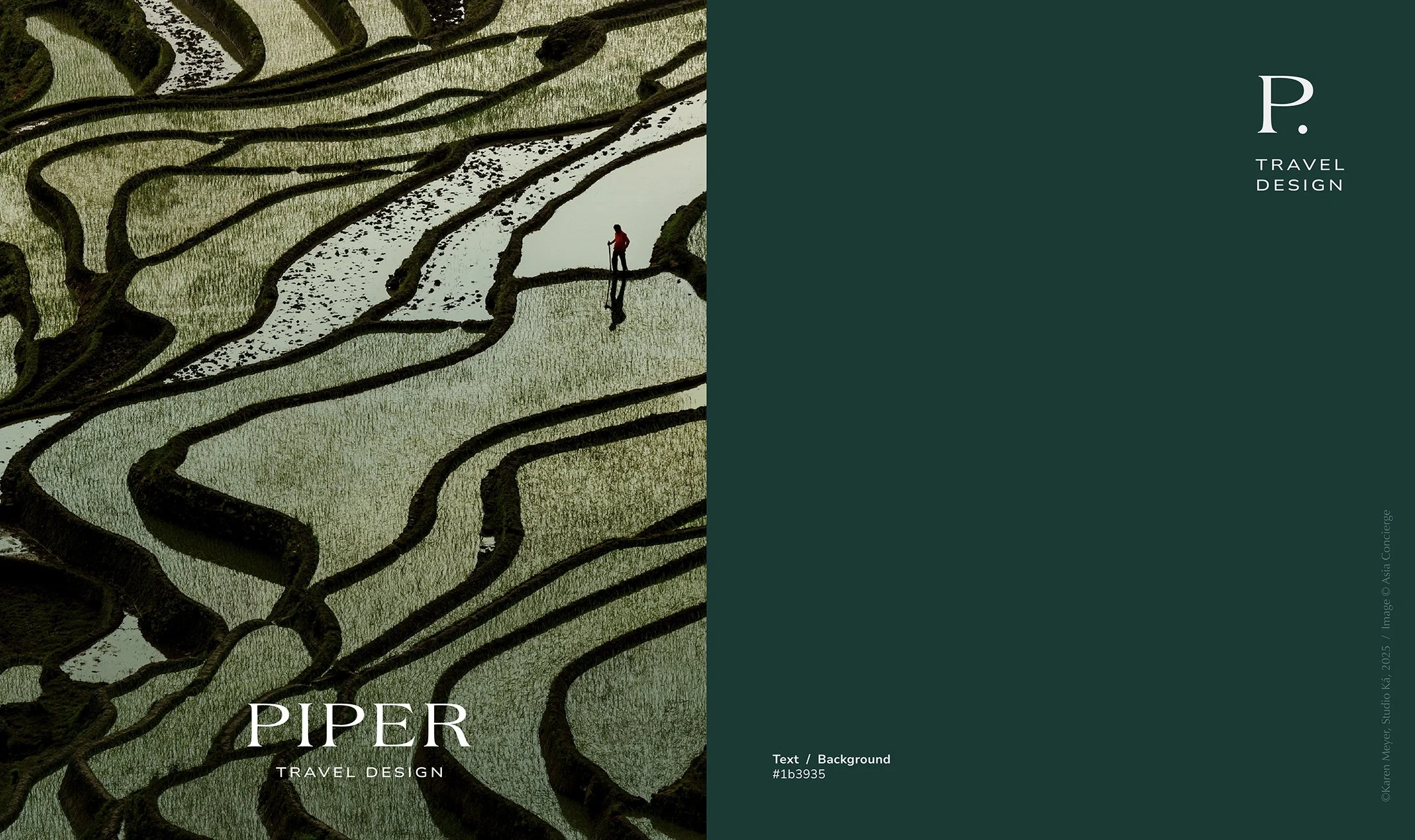 KA_PIPER-09.jpg