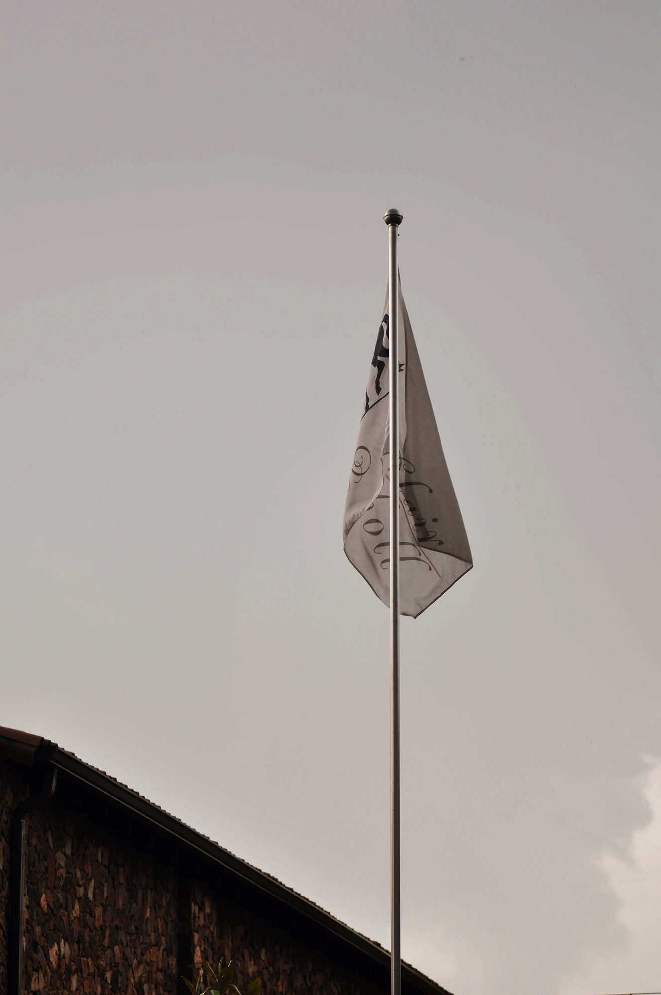 DSC_1400.png