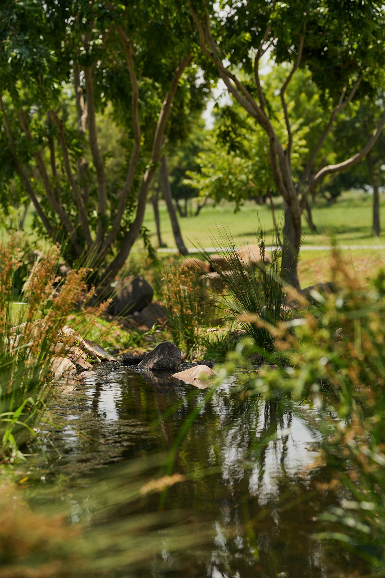 Blair-Atholl-Luxury-Estate-Gardens-4.png