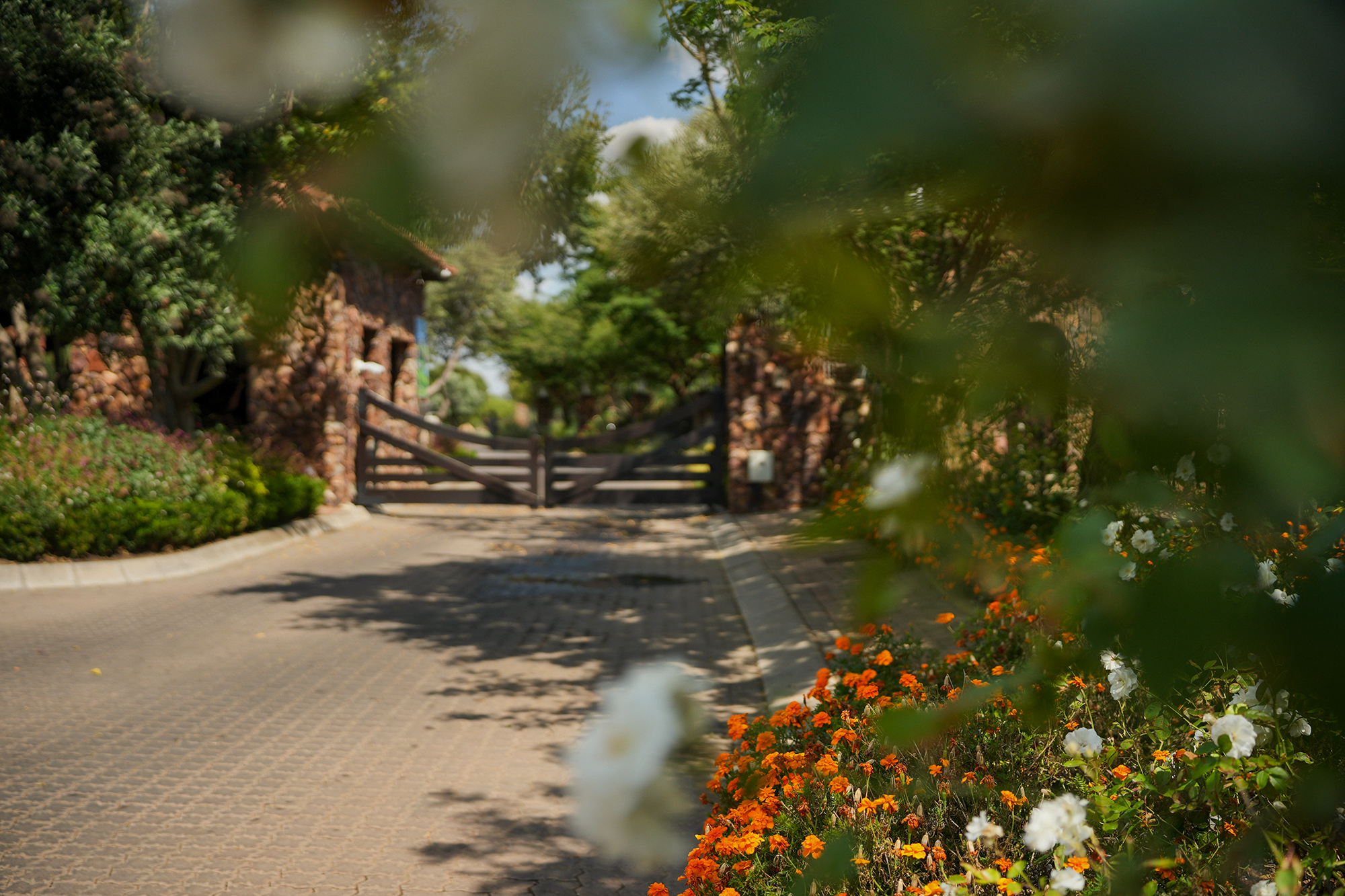 Blair-Atholl-Luxury-Estate-Gardens-8.png