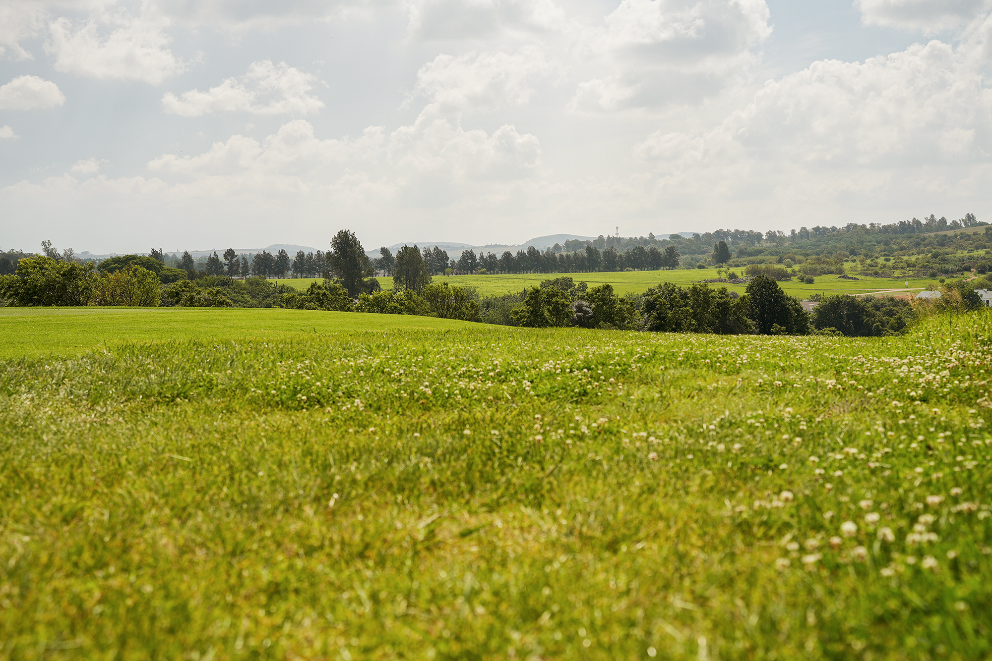 Blair-Atholl-Luxury-Estate-Gardens-6.png