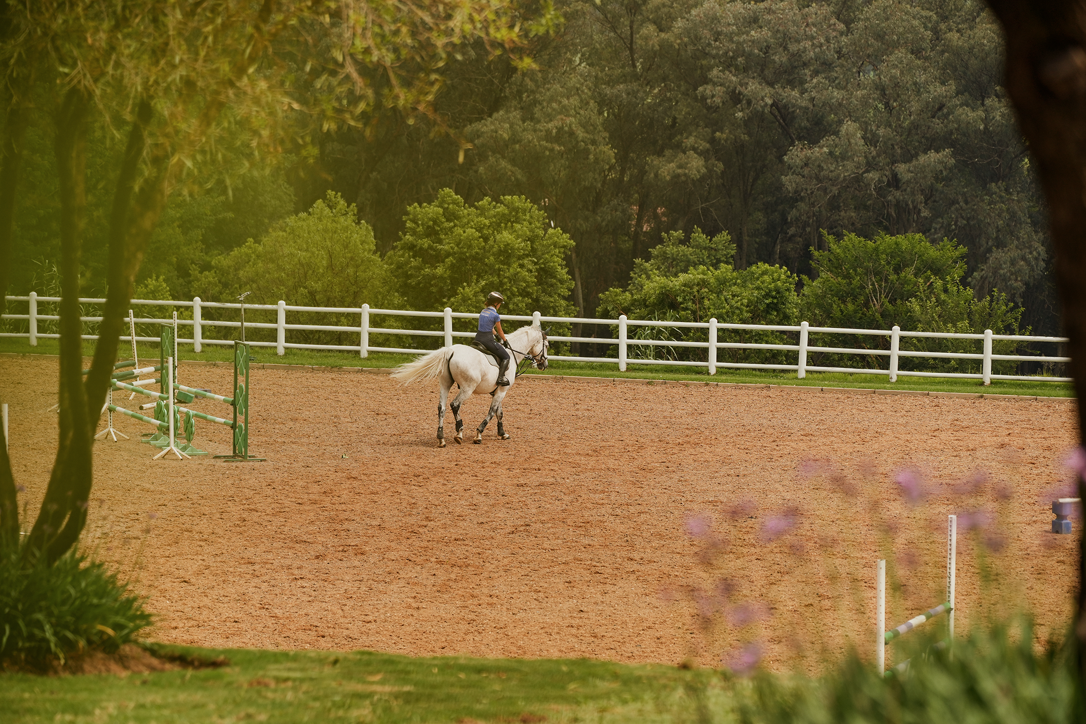 Blair-Atholl-Equestrian-17.png