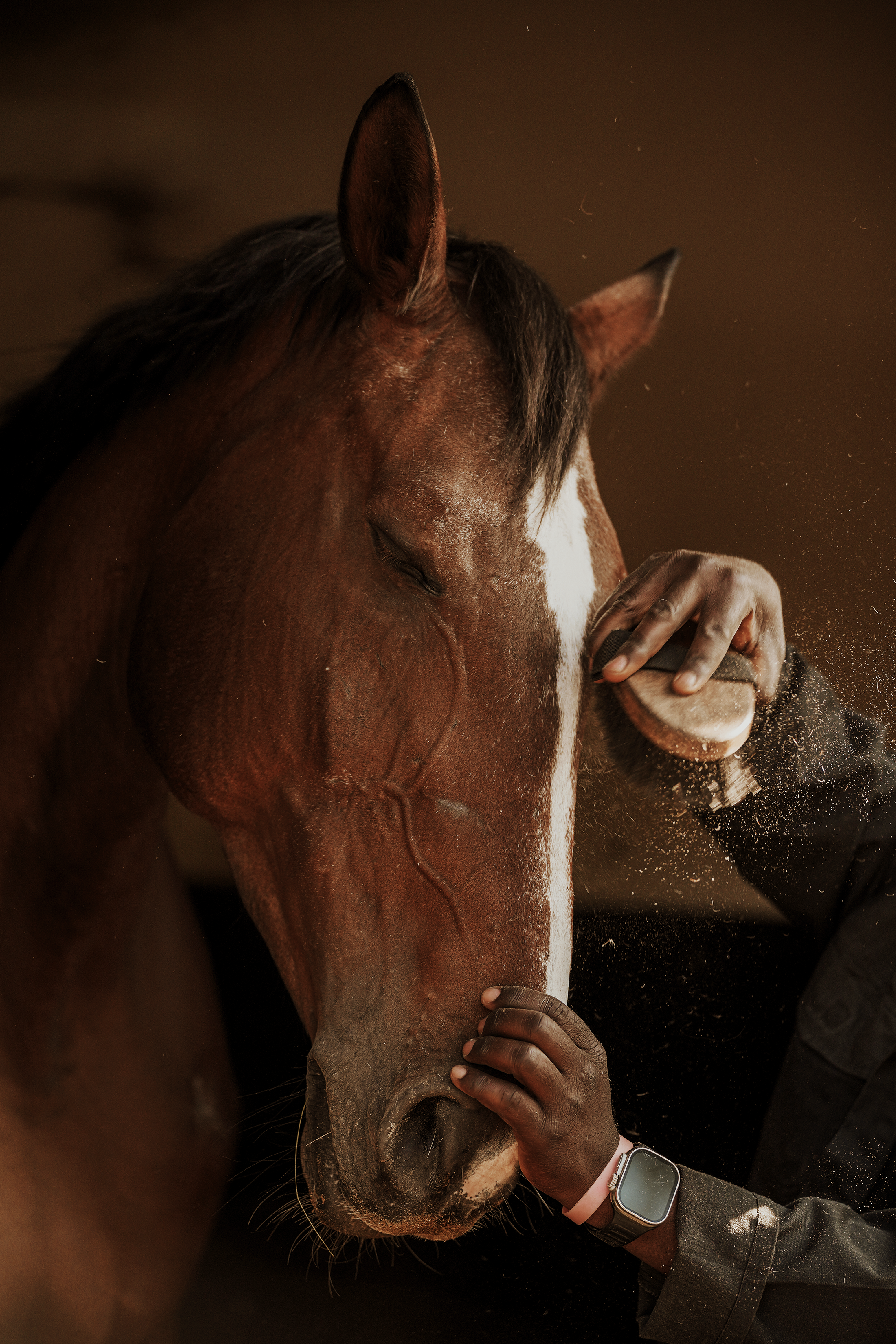 Blair-Atholl-Equestrian-20.png