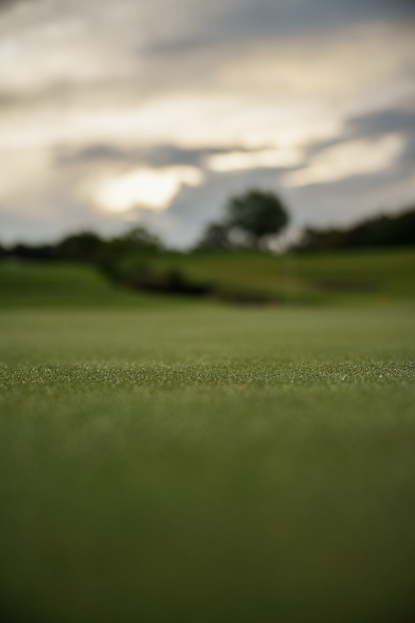 Blair-atholl-golf-estate-brand-photography-1.png