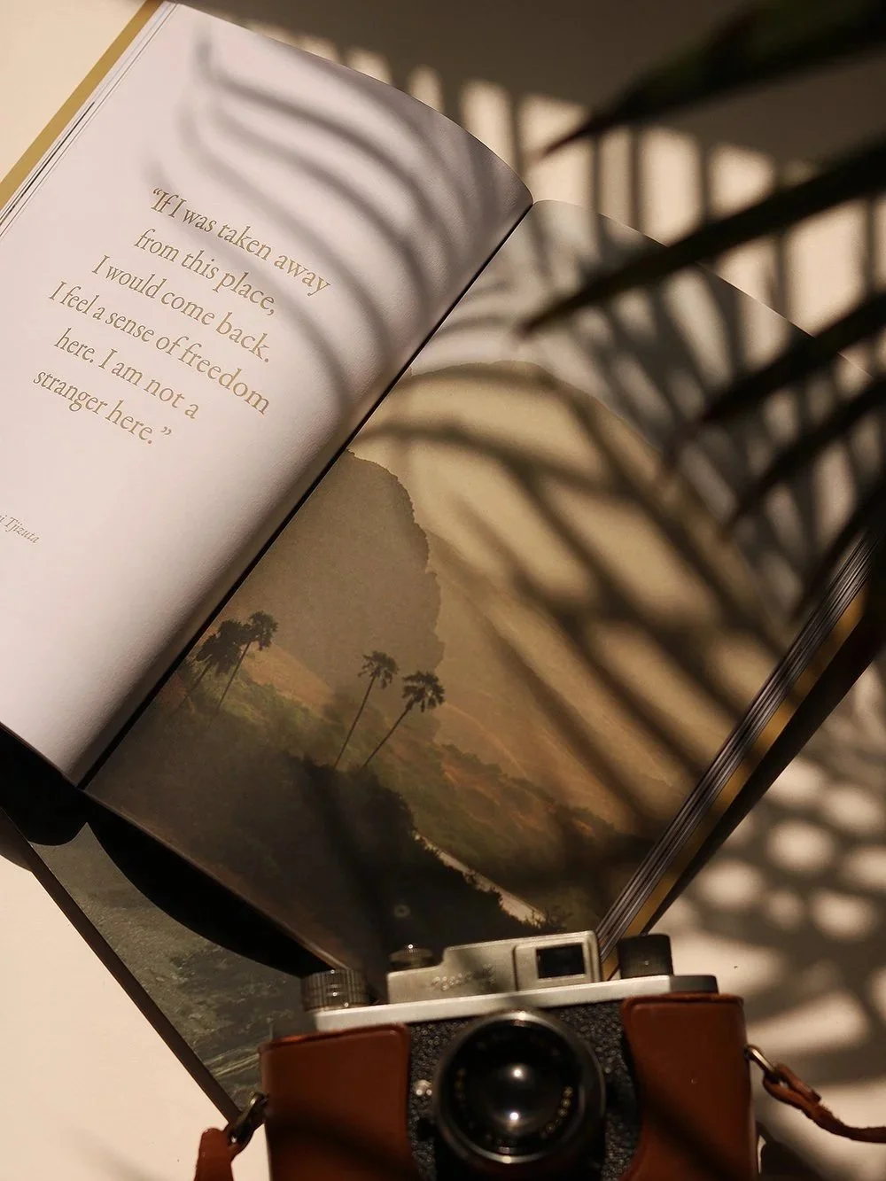 Open book with a quote and a landscape photo, shadows of leaves and a camera in the foreground.