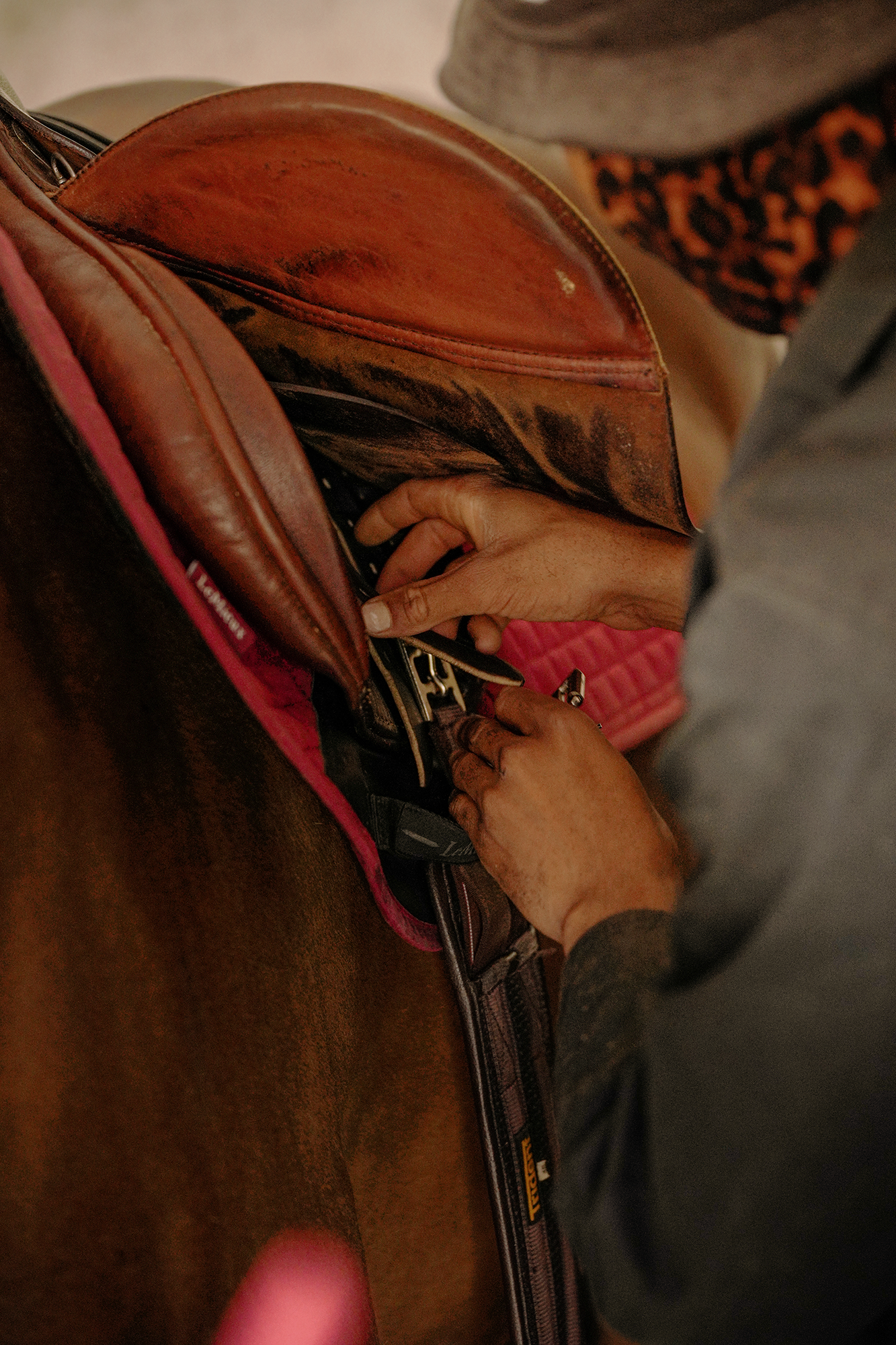 Blair-Atholl-Equestrian-16.png
