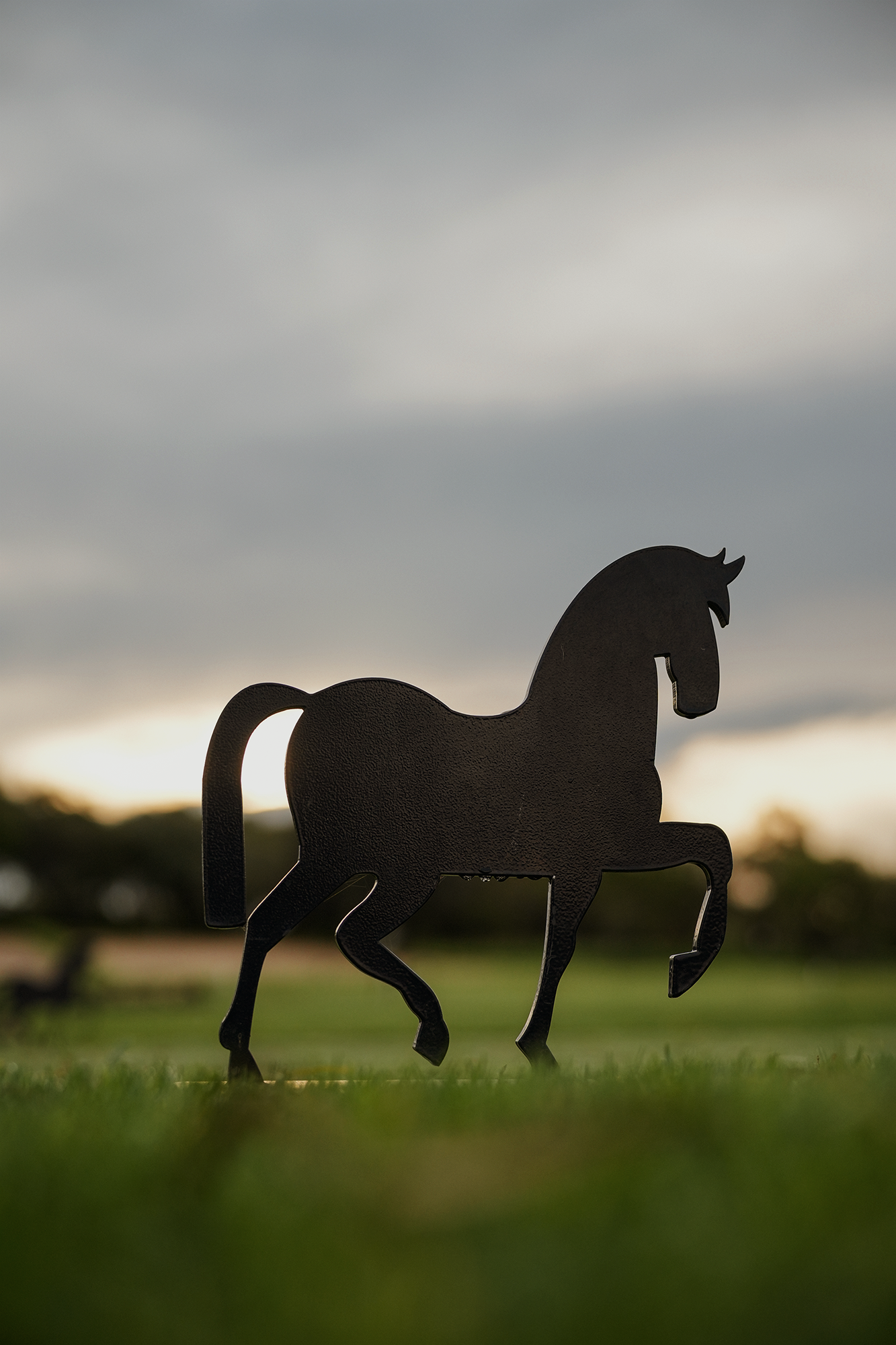 Blair-atholl-golf-estate-brand-photography-7.png
