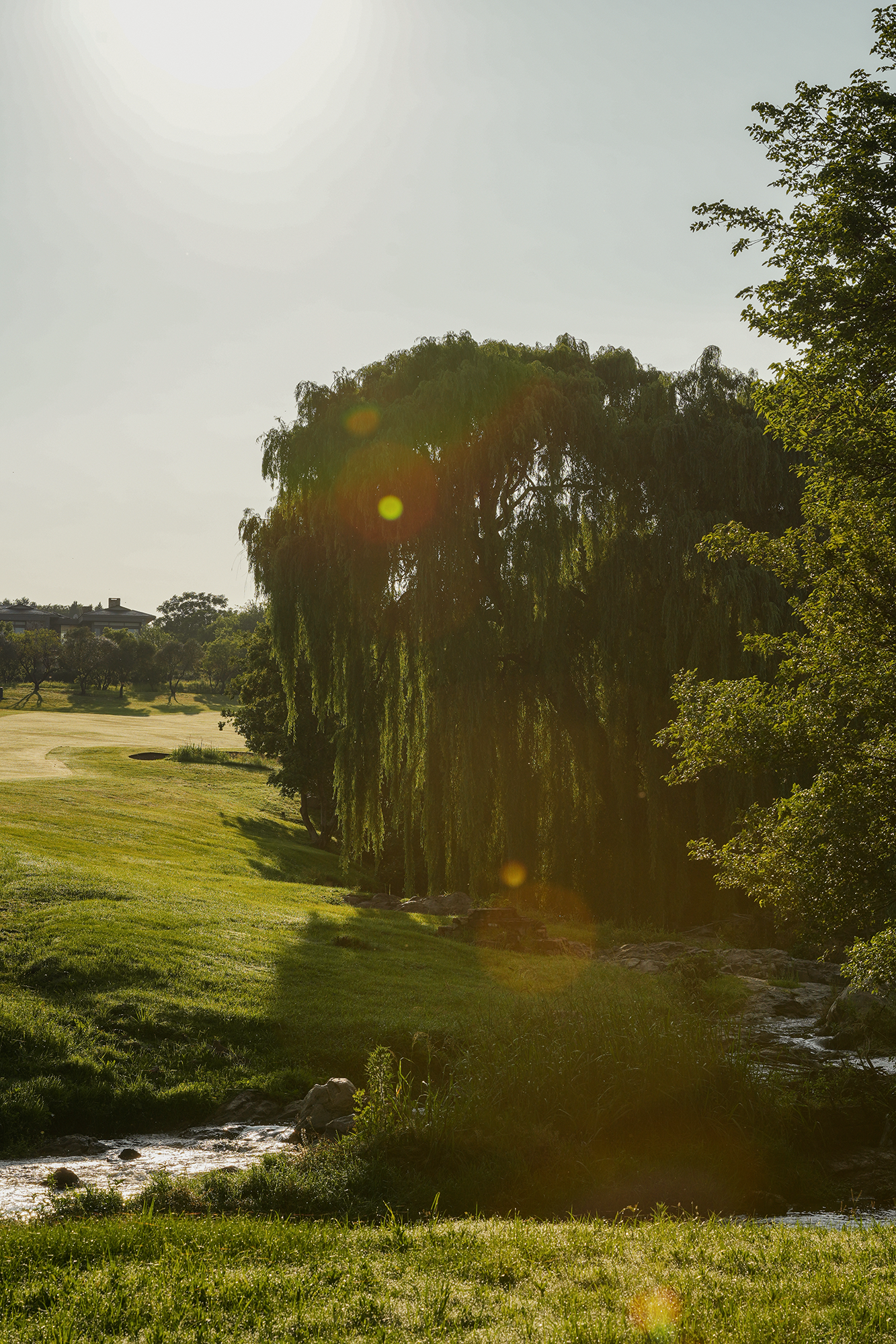 Blair-atholl-golf-estate-brand-photography-22.png