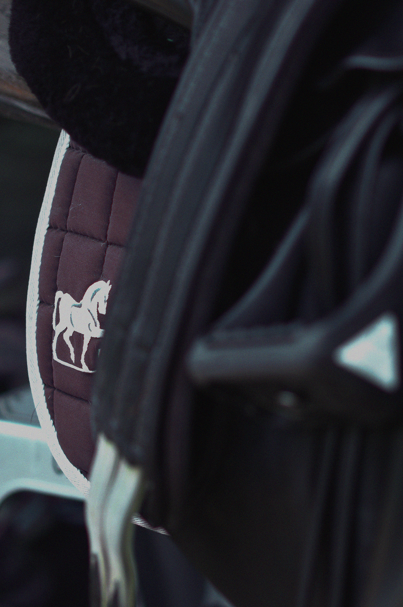 Blair-Atholl-Equestrian-4.png