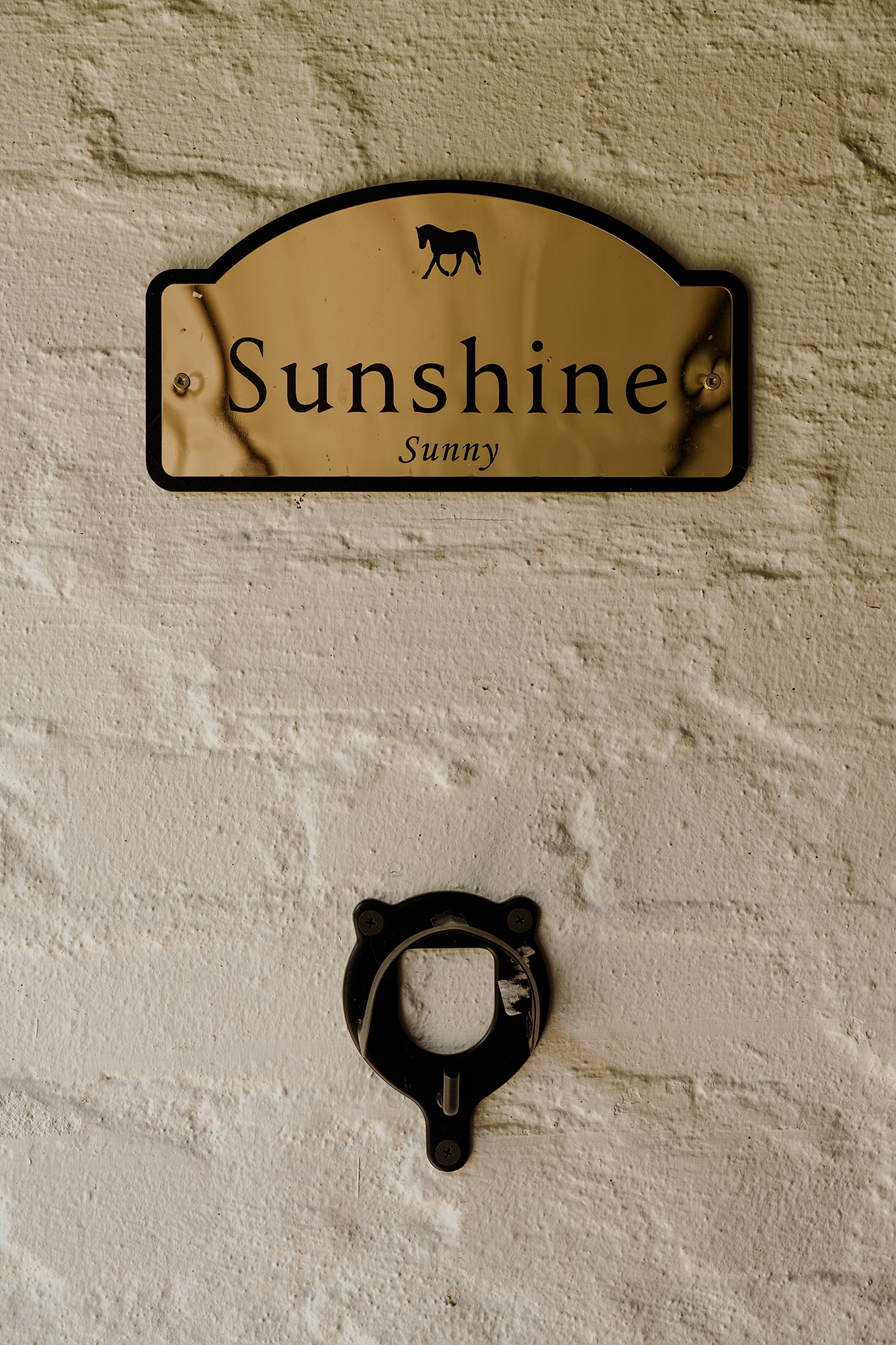 Blair-Atholl-Equestrian-6.png
