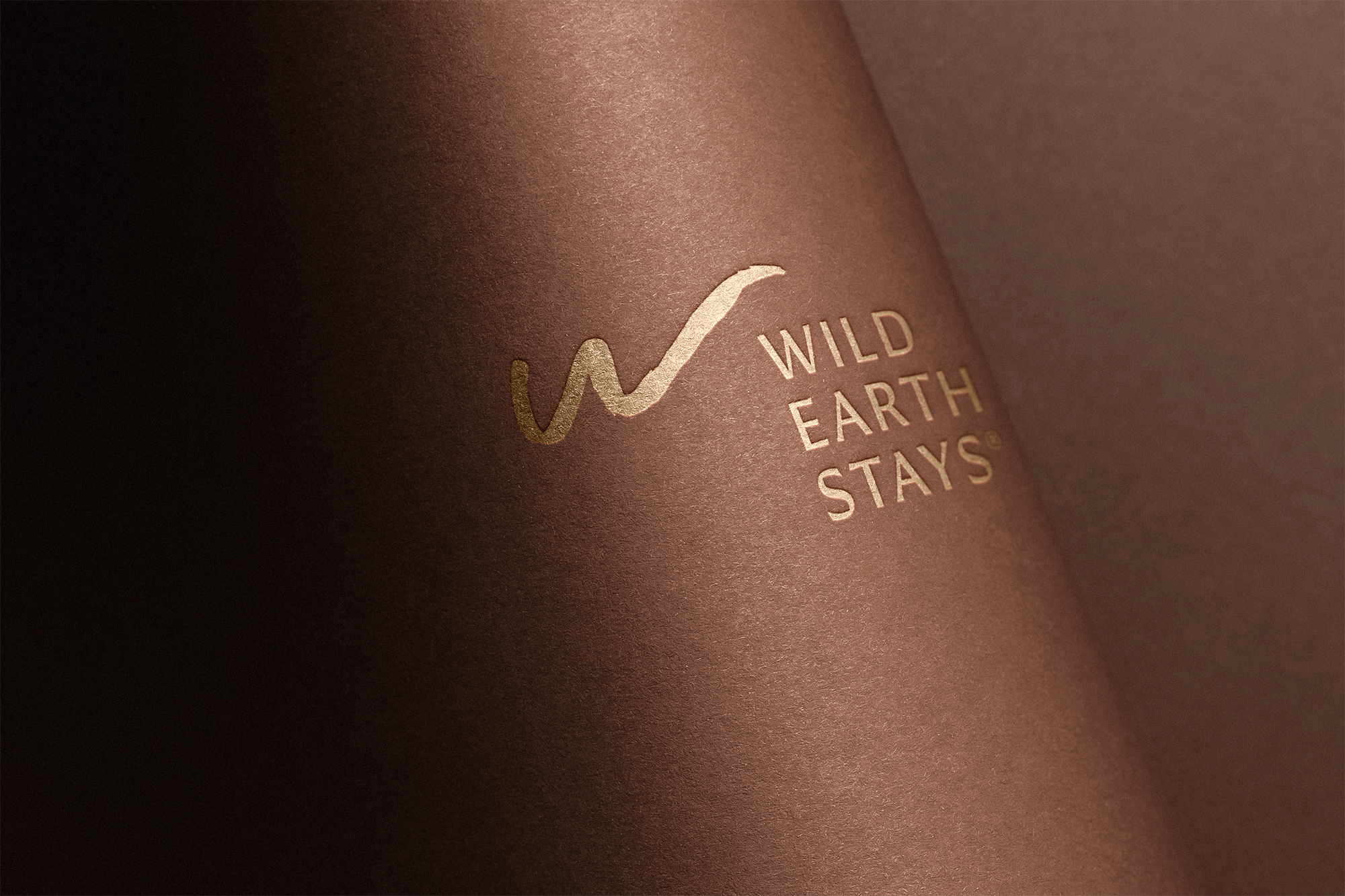 Wild Earth Stays