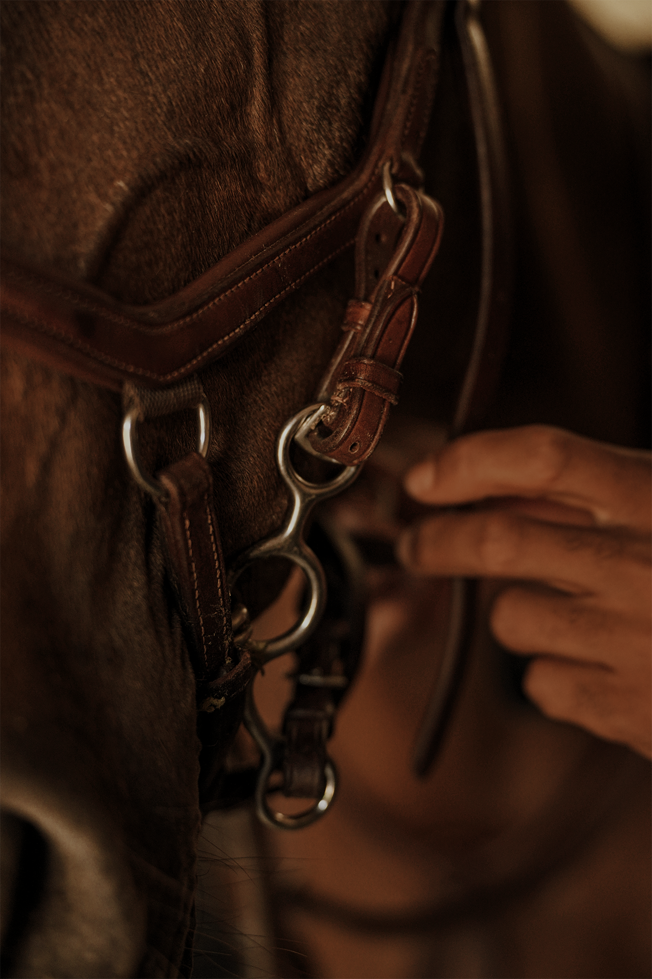 Blair-Atholl-Equestrian-12.png